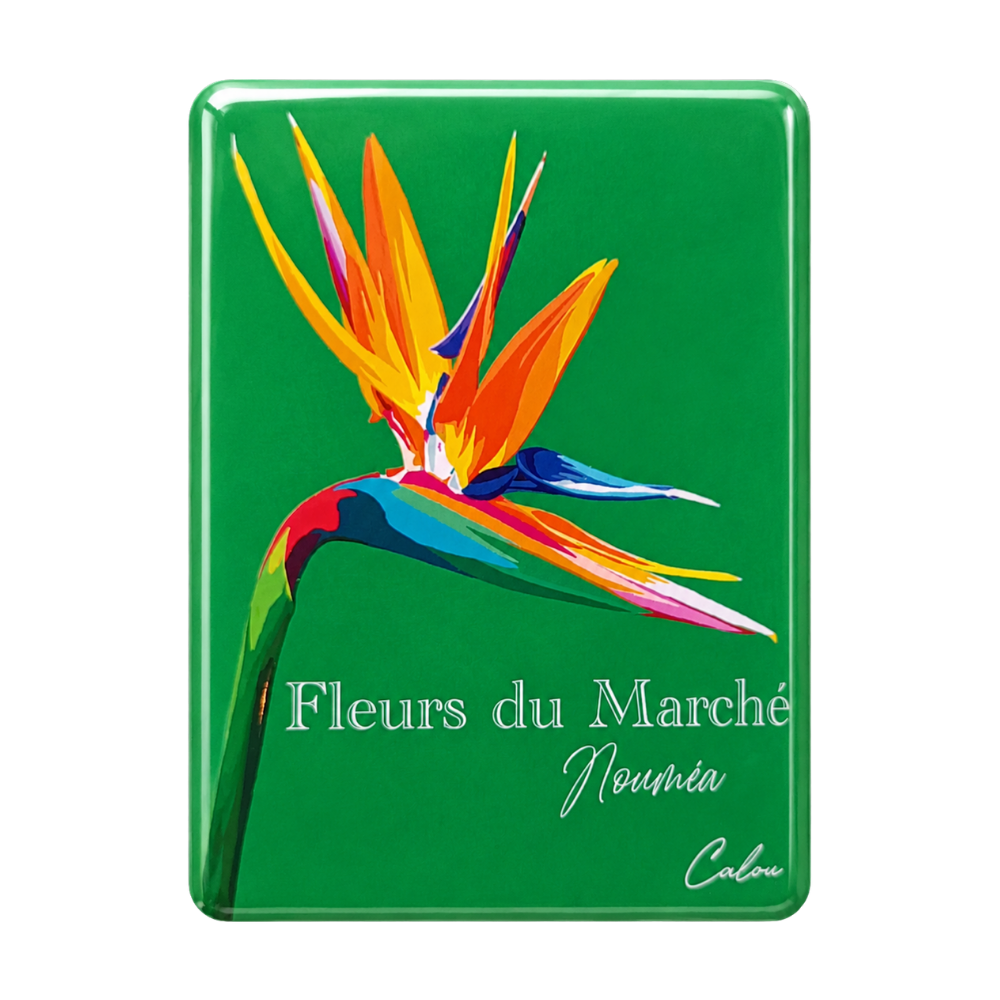 Strelitzia reginae