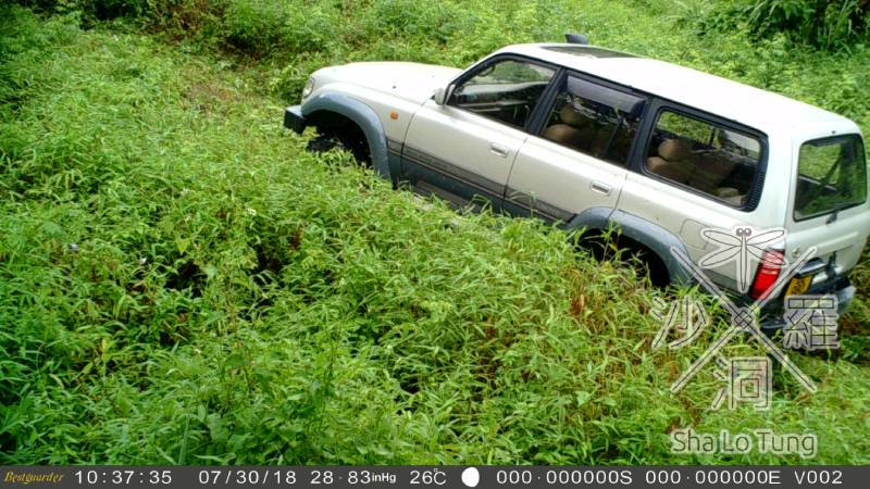 沙螺洞面對的威脅: 越野車破壞植被及水利設施