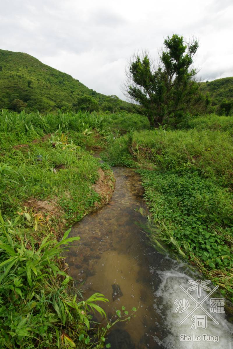 沙螺洞河溪