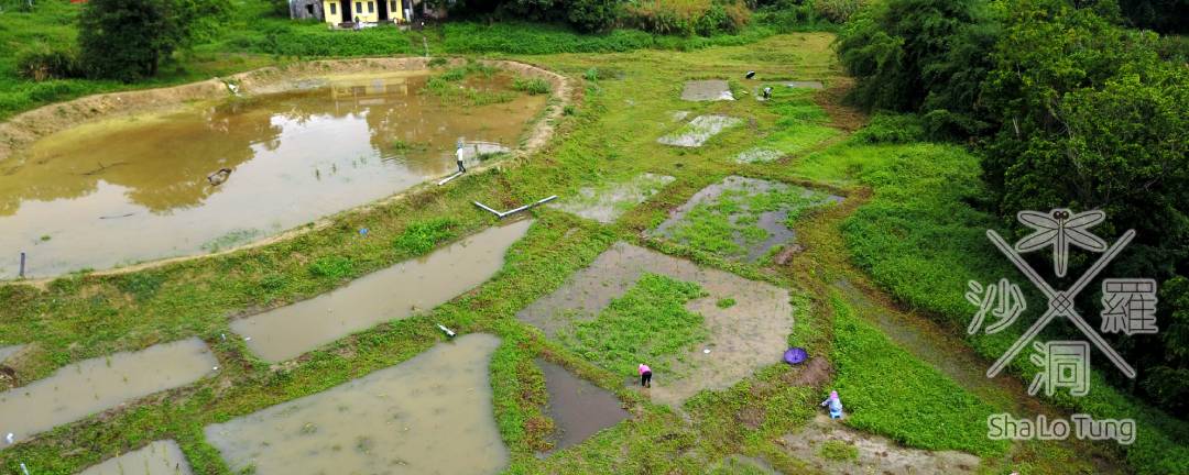 A eco-pond and many cells of restored marsh