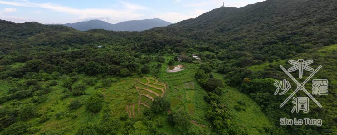 “A Glimpse into the Sha Lo Tung Wetlands” School talk