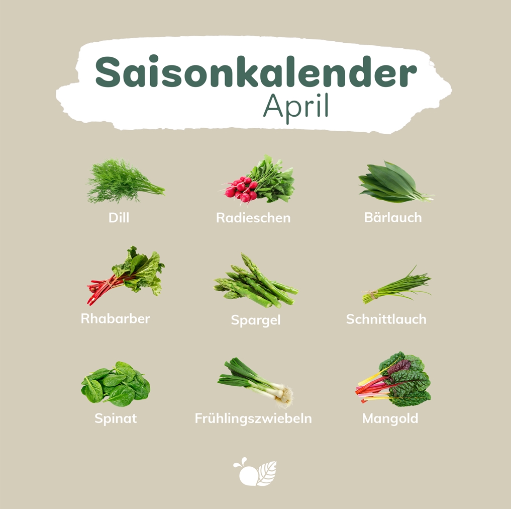 wyldr Saisonkalender April