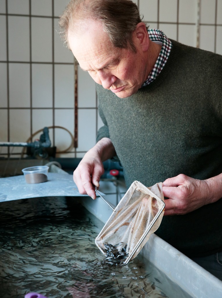 Bio_Fisch_Nachzucht_Benecke