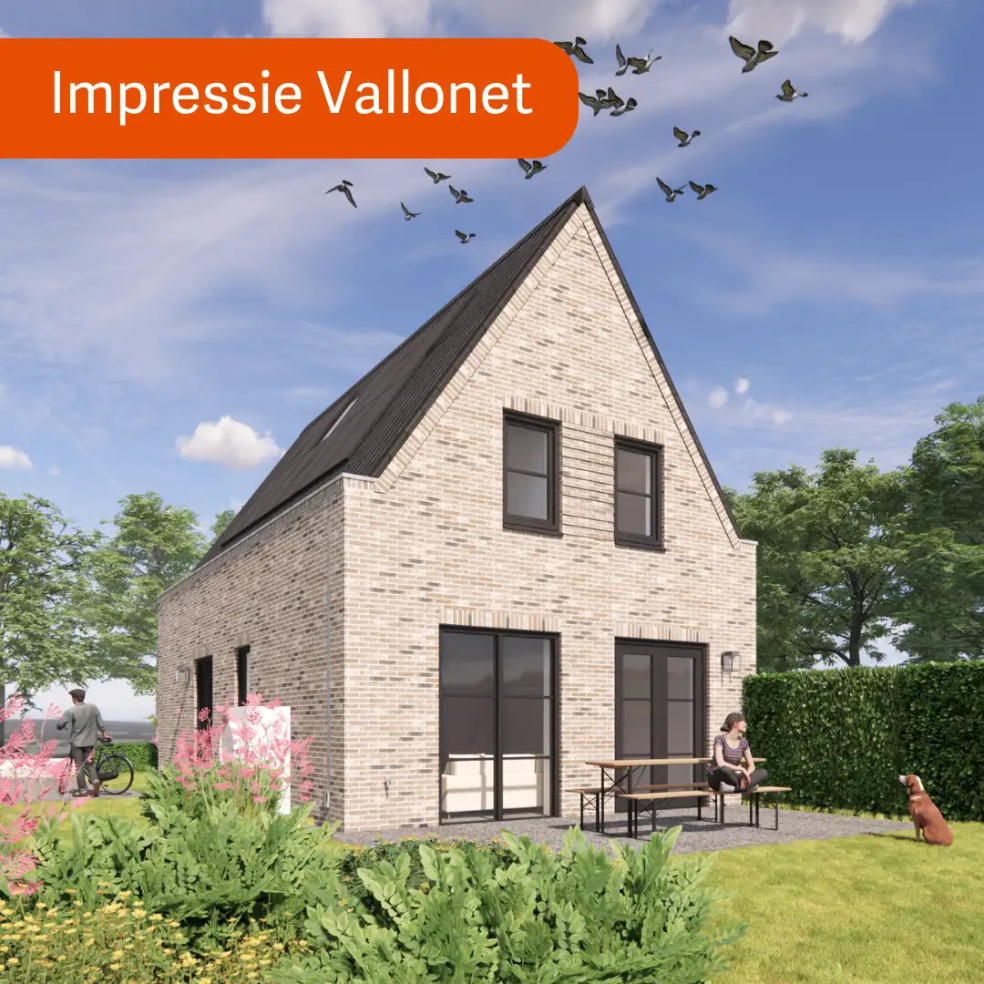 Render vrijstaande woning met grijze gevelstenen