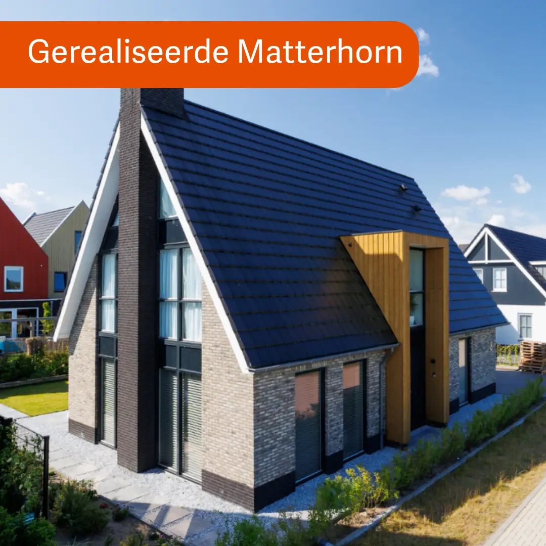 Vrijstaande woningen met risaliet en uitgebouwde schoorsteen