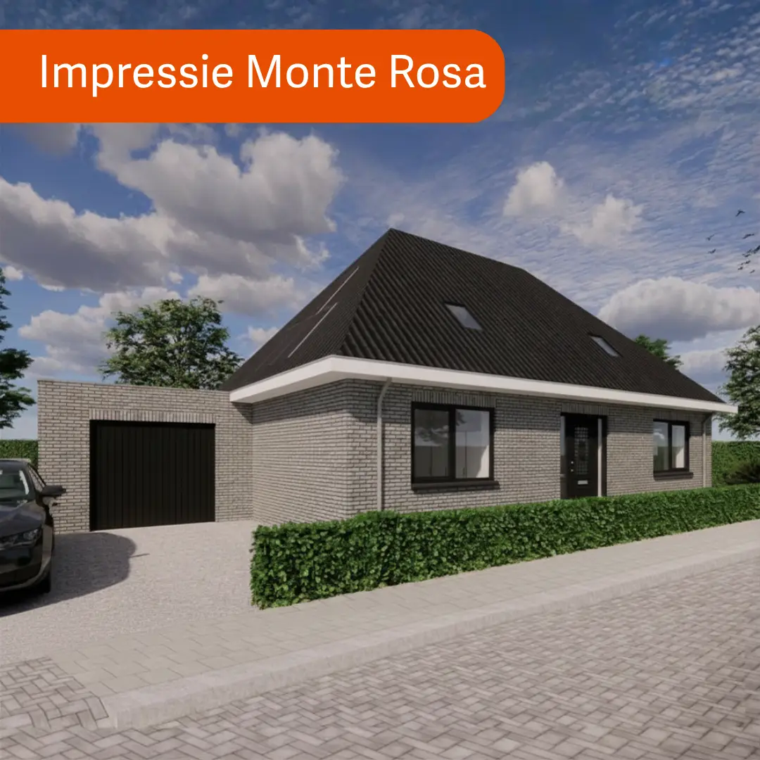Render van een vrijstaande woning met grijze gevelstenen en aangebouwde garage