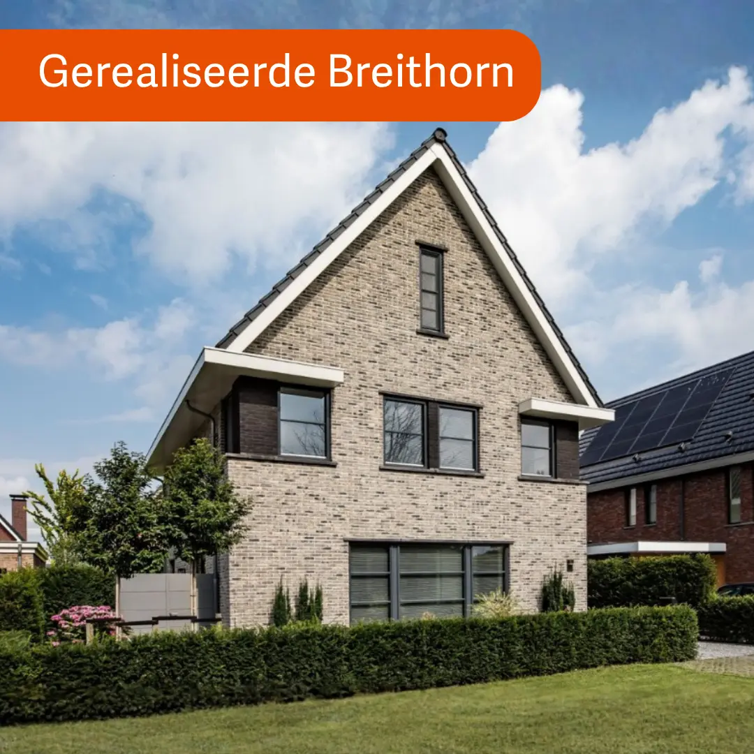 Vrijstaande hoogbouw woning met grijze gevelstenen