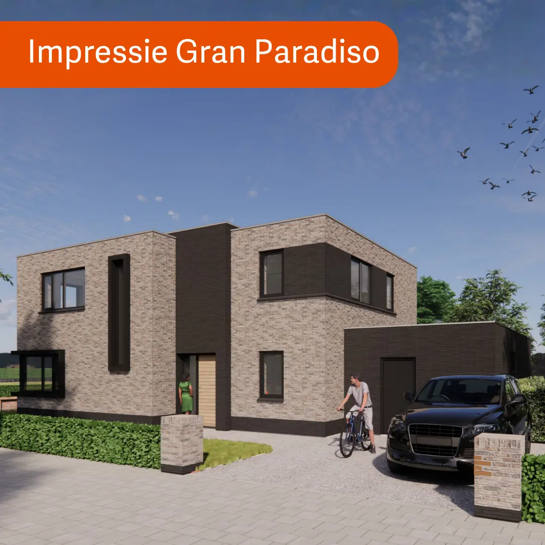 Render vrijstaande hoogbouw woning met plat dak