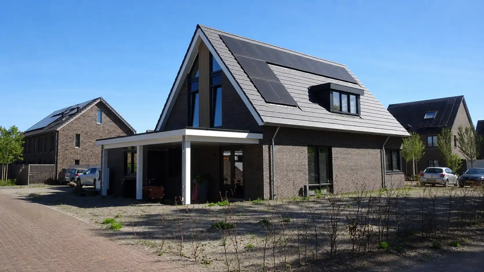 Vrijstaande woning met donkere gevelstenen en overkapping
