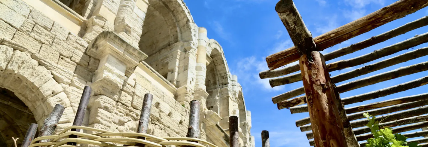 Les jardins des arcades s’exposent à domus