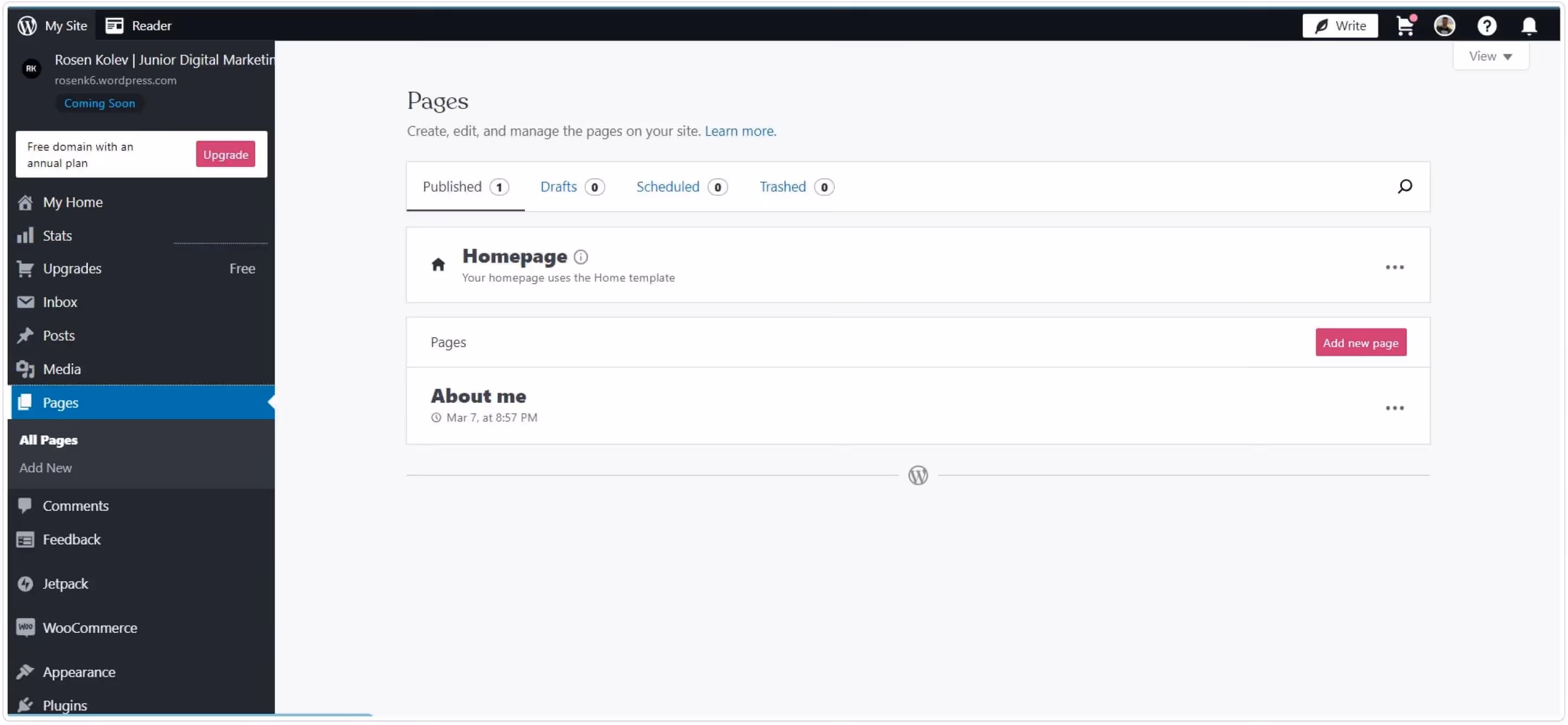 screenshot of wordpress dashboard