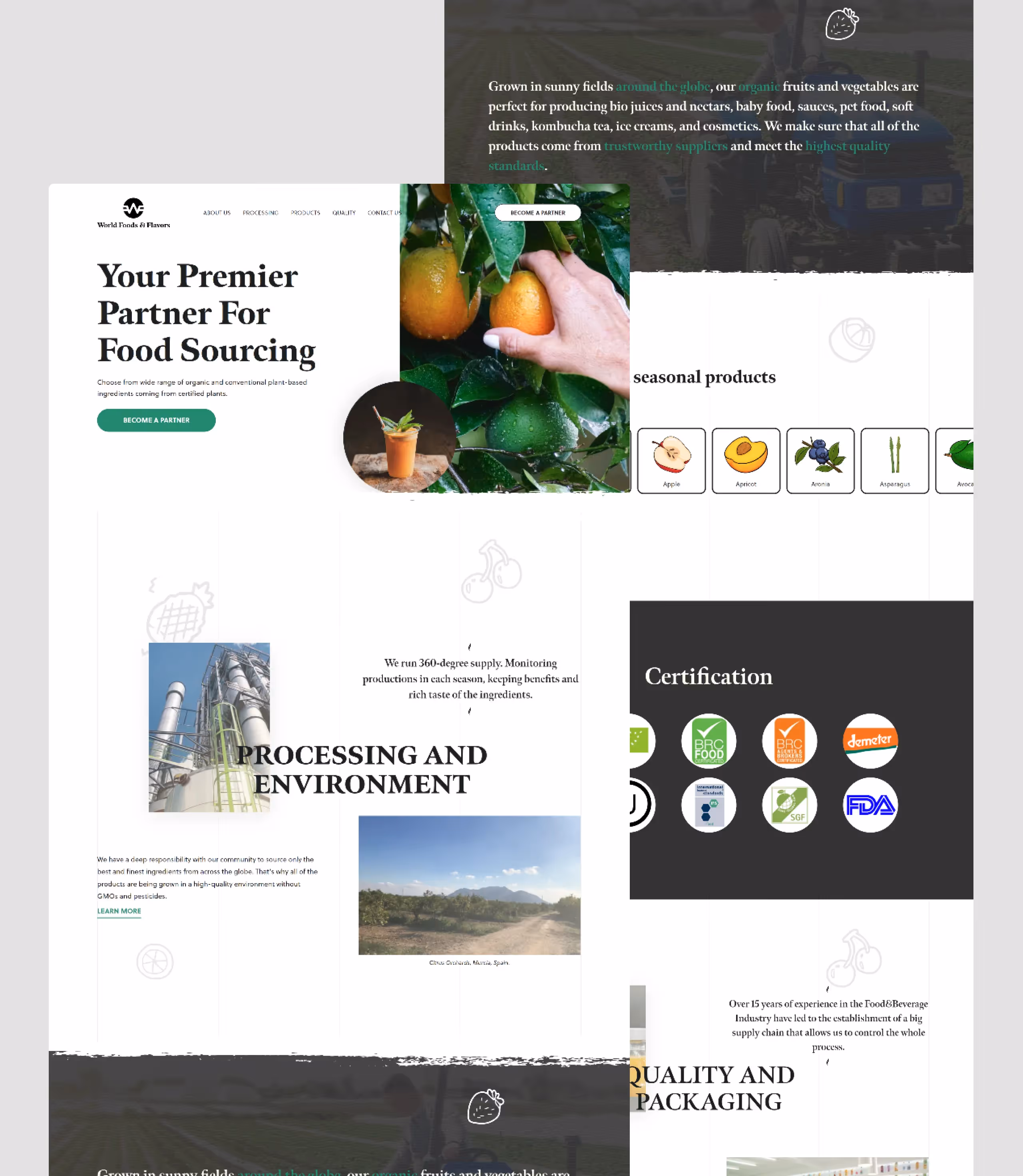 World Foods And Flavors' website screenshot