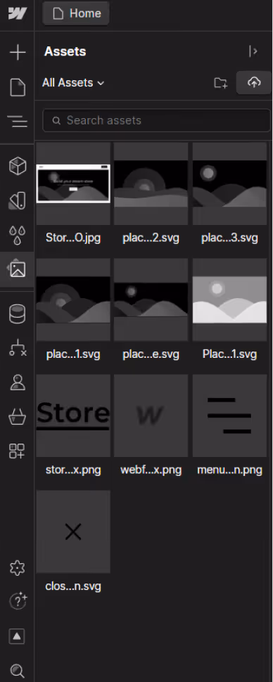 Webflow Assets