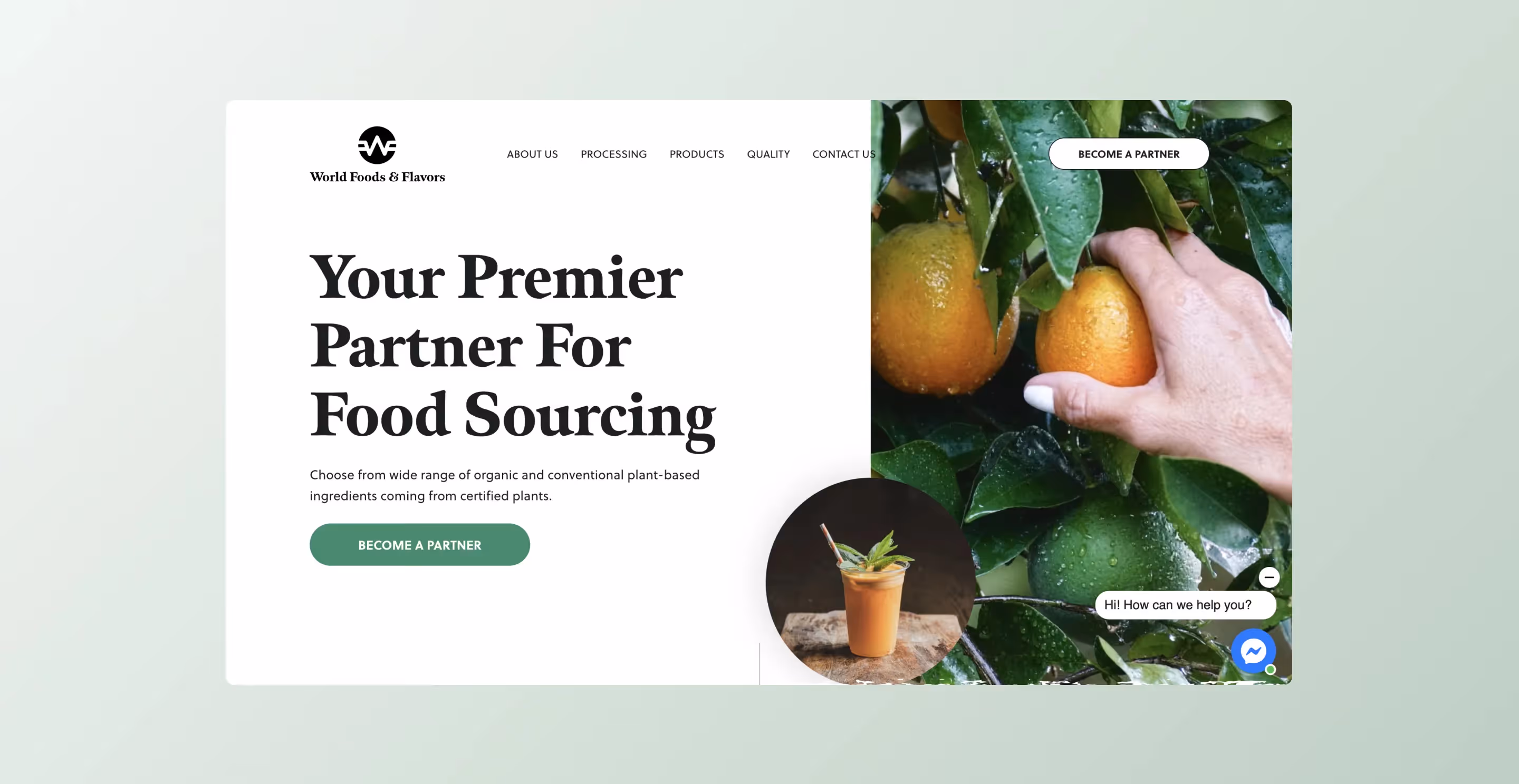 World Foods And Flavors hero section screenshot
