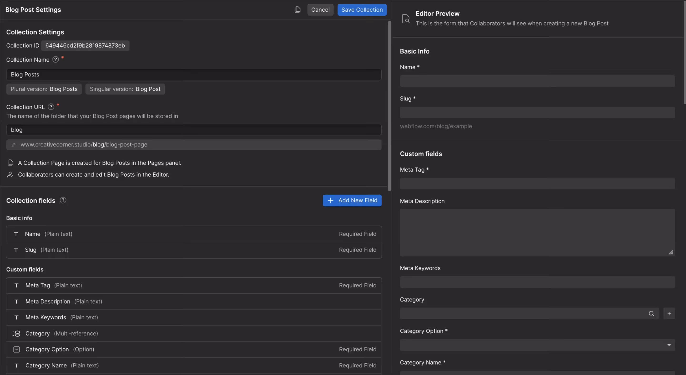 Screenshot of Webflow CMS