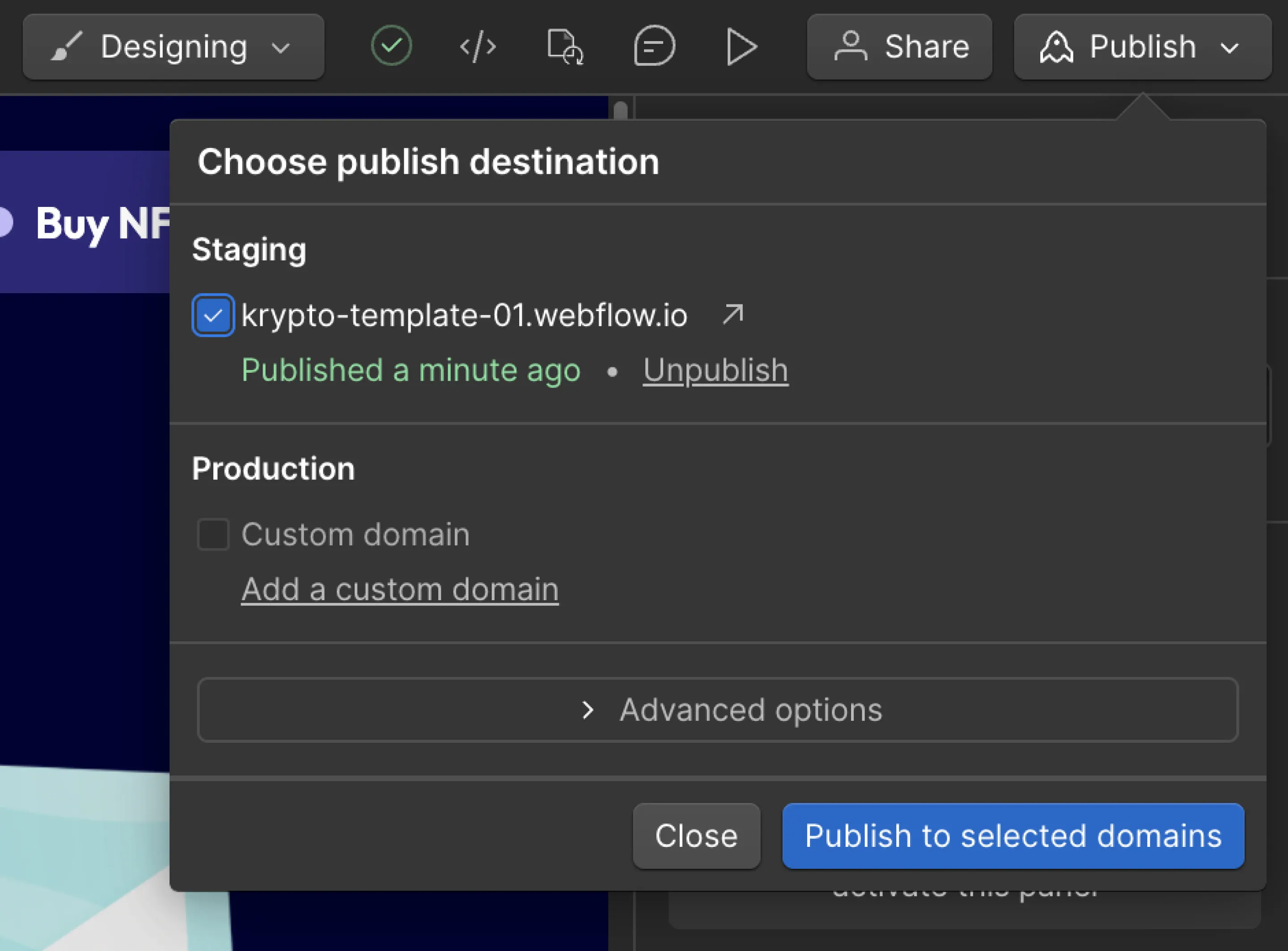 screenshot preview and publish vidzflow