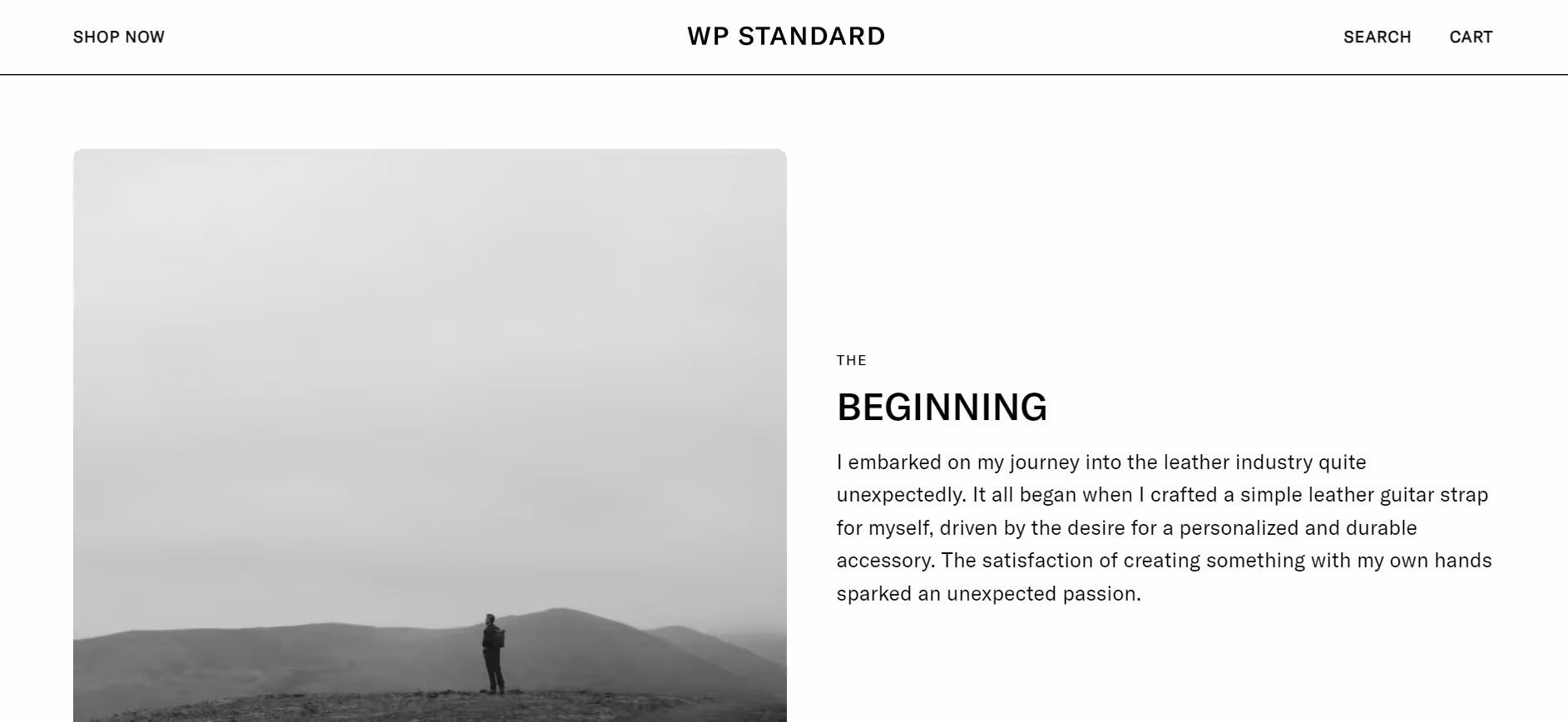 screenshot of wp standar about us page