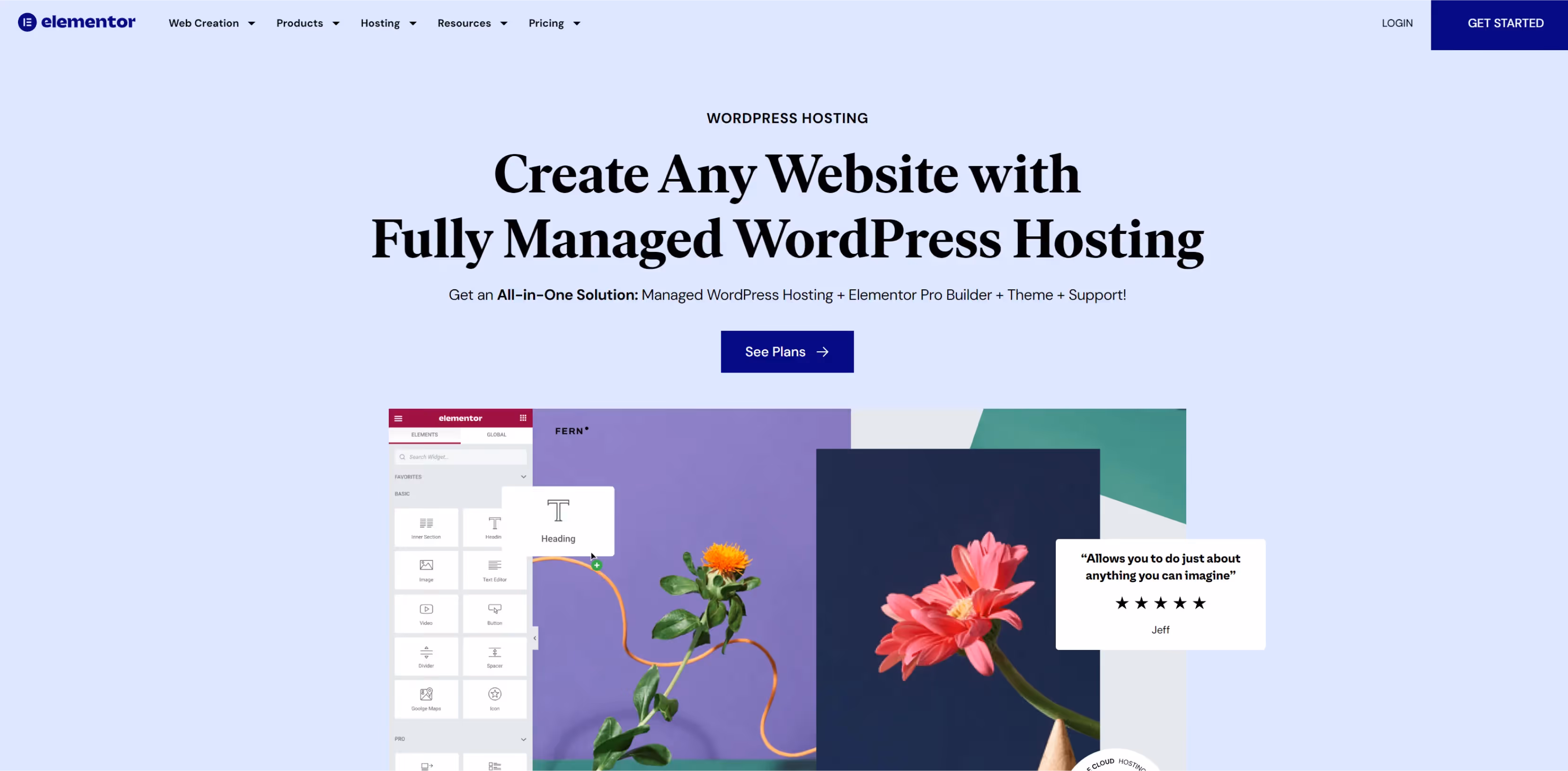 Elementor Hosting page