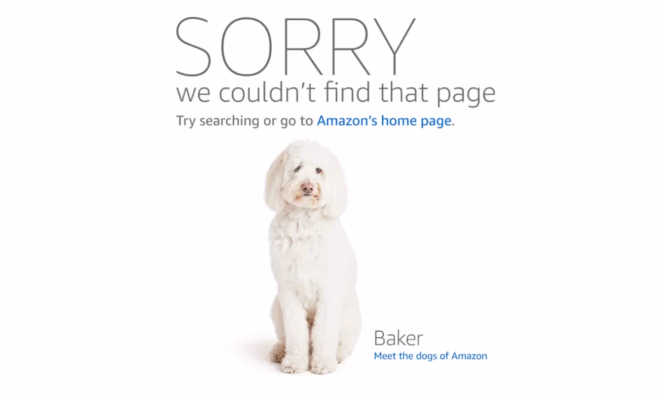 screenshot of Amazon 404 page
