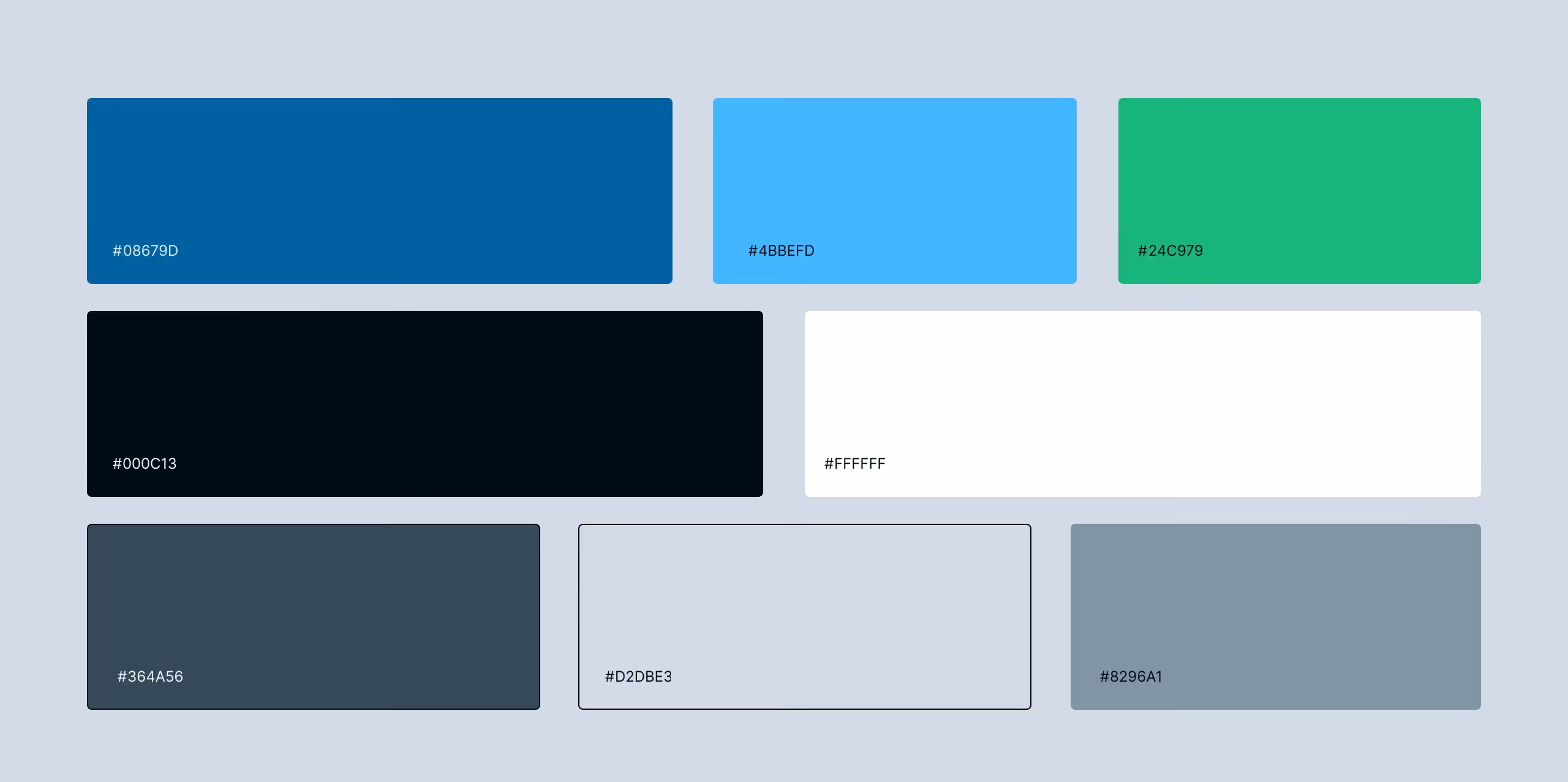 Modi Branding: Color Palette