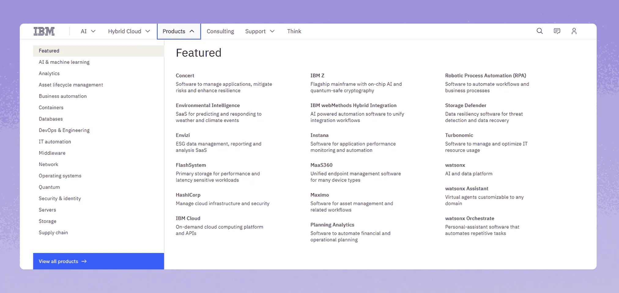 IBM enterprise mega menu focused on efficiency and fast navigation
