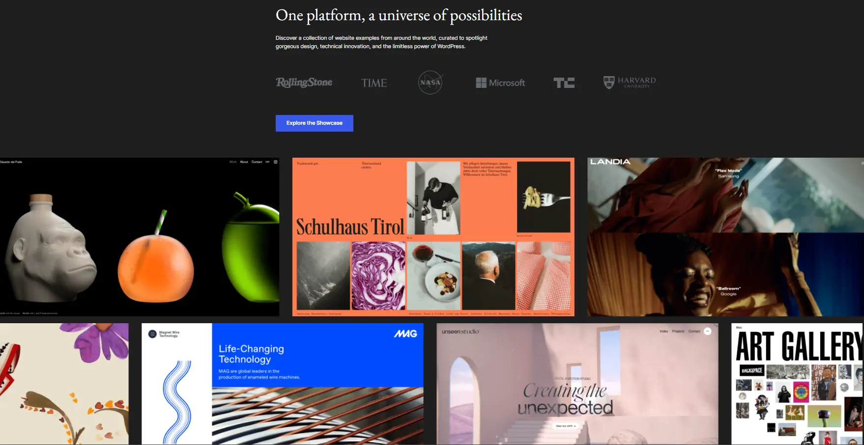 Wordpress vs Webflow: Wordpress Overview