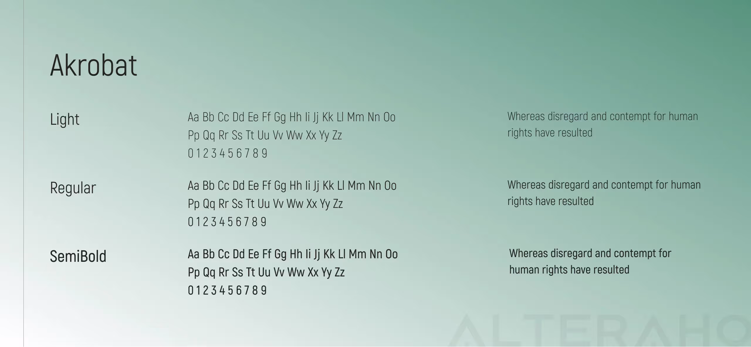 Altera Sapareva Banya Brainding: Typography