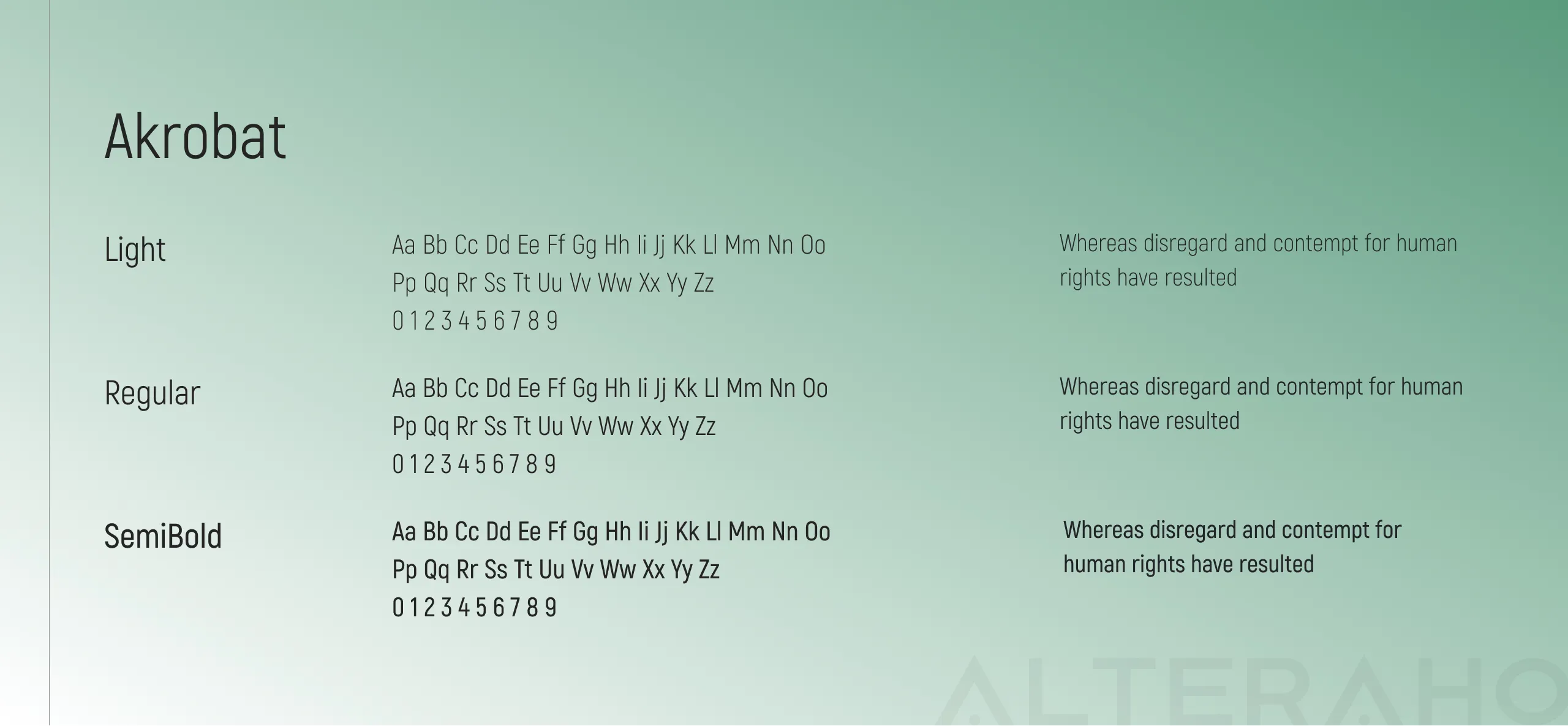 Altera Sapareva Banya Brainding: Typography