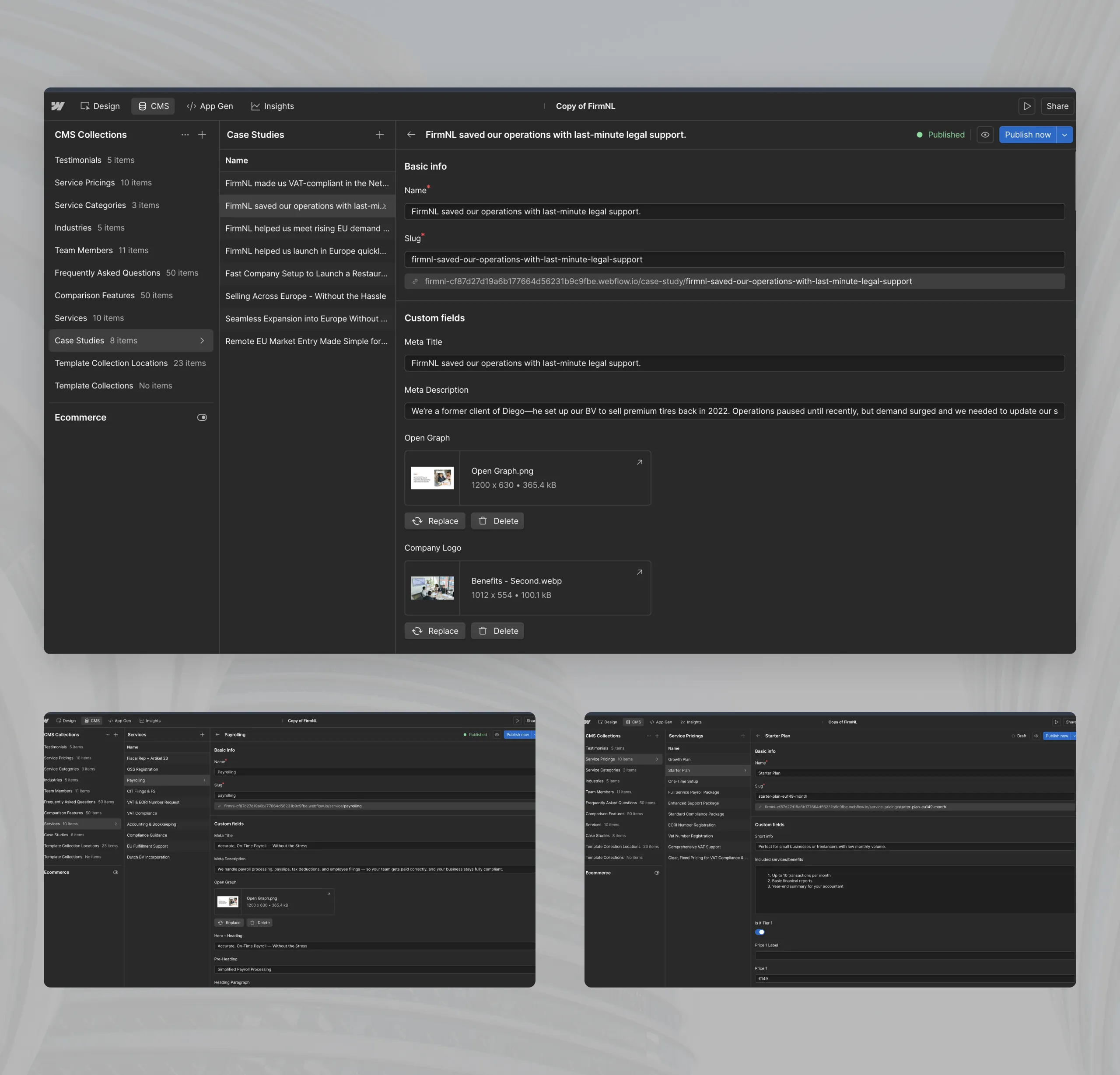 FirmNL Webflow Development Screenshots Mockup