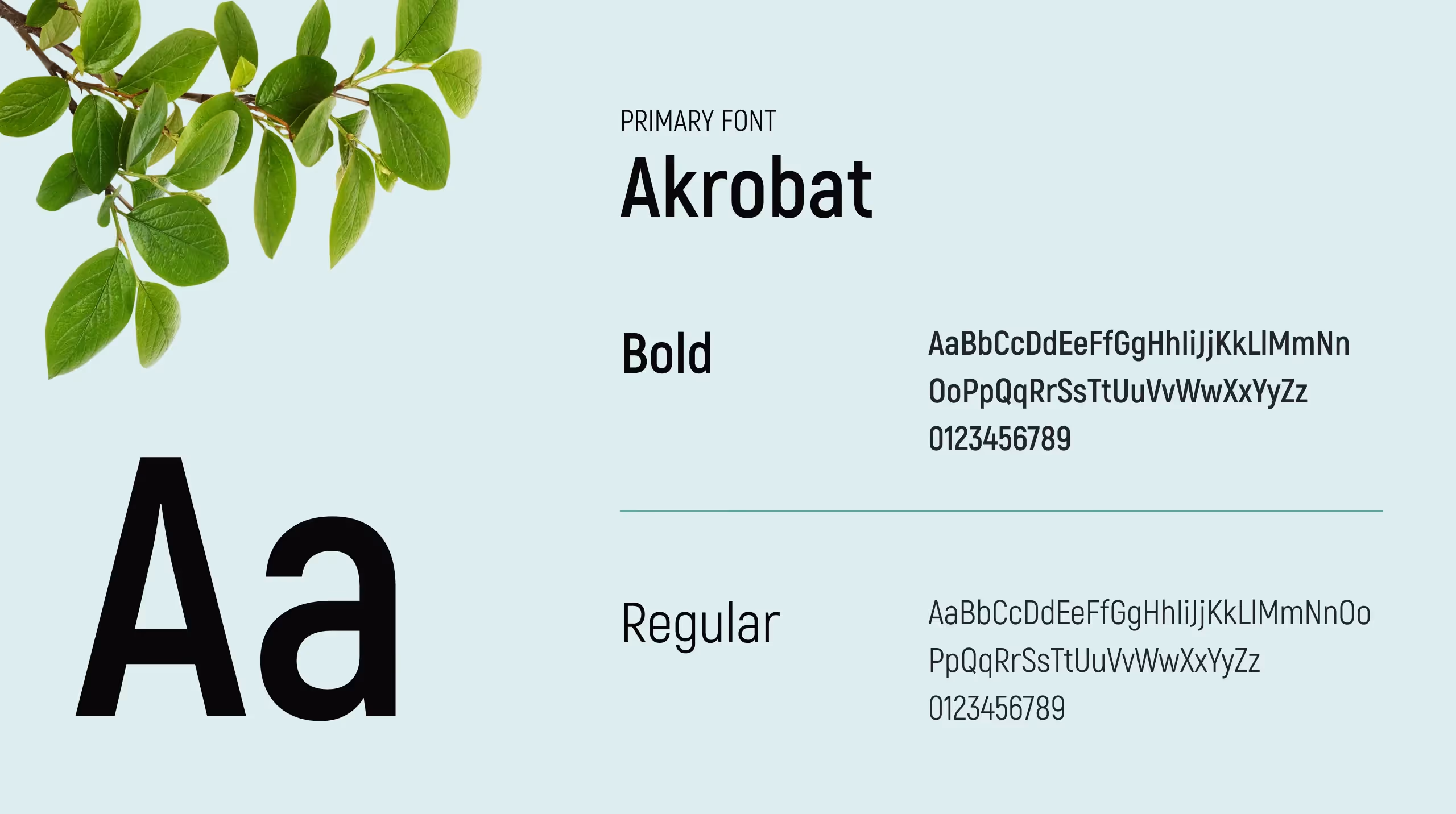 BamboEarth Branding: Typography