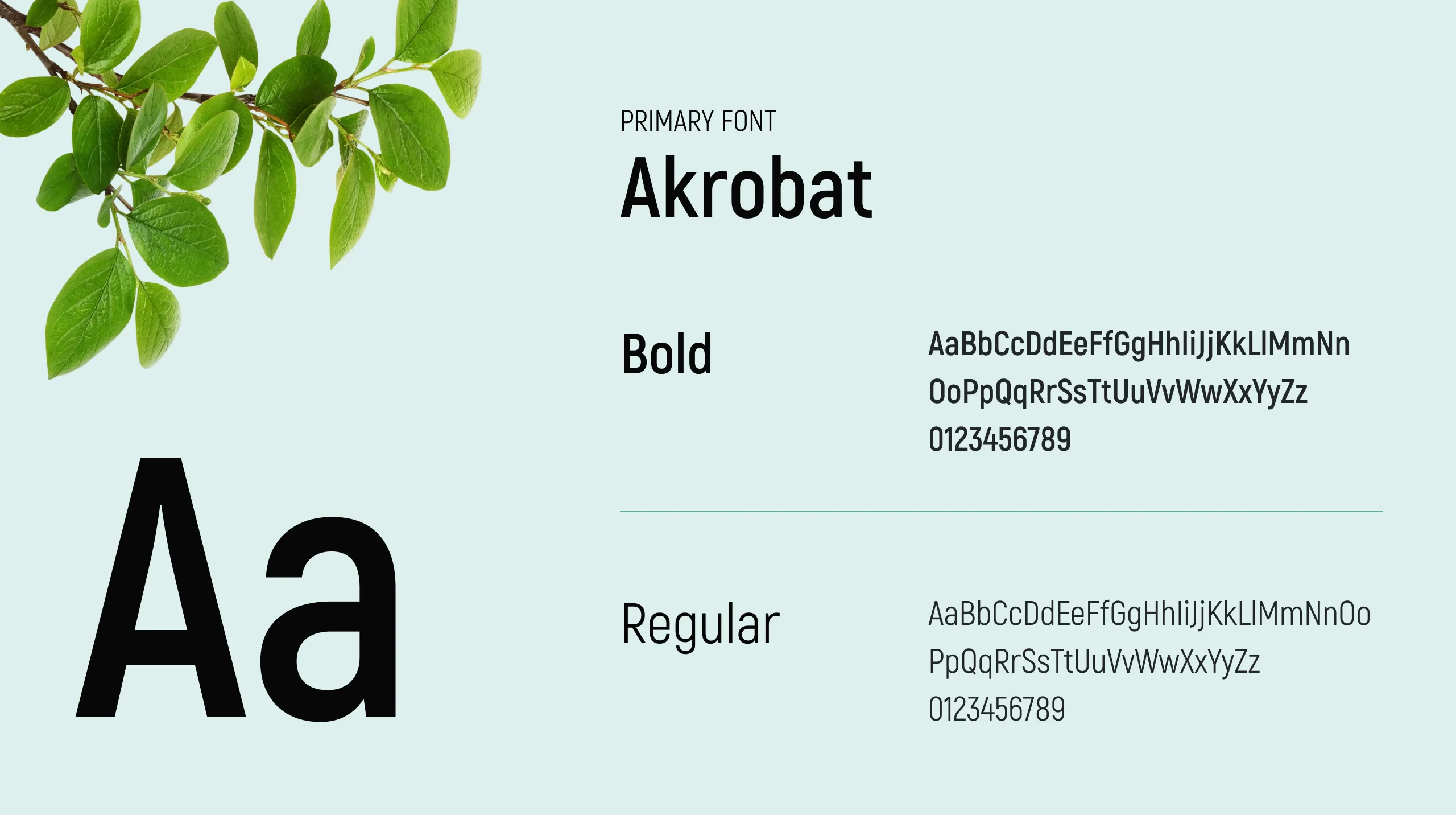 BamboEarth Branding: Typography