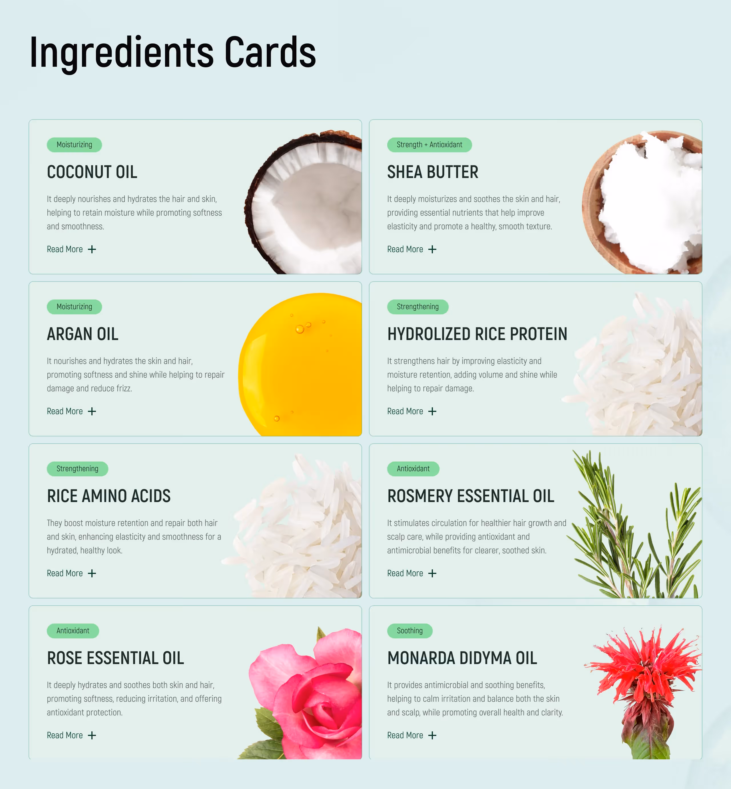 BamboEarth Branding: Ingredients Cards