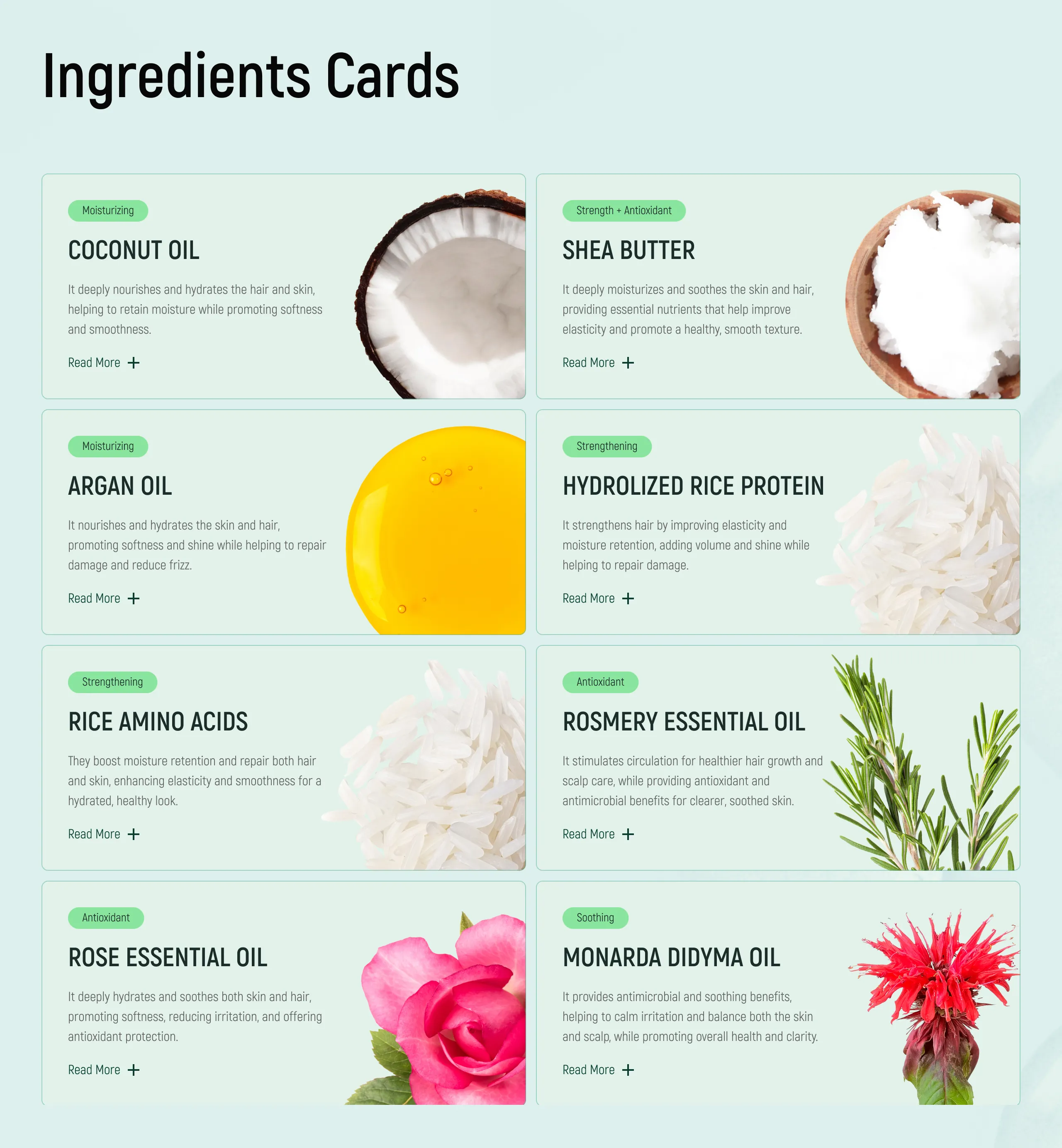 BamboEarth Branding: Ingredients Cards