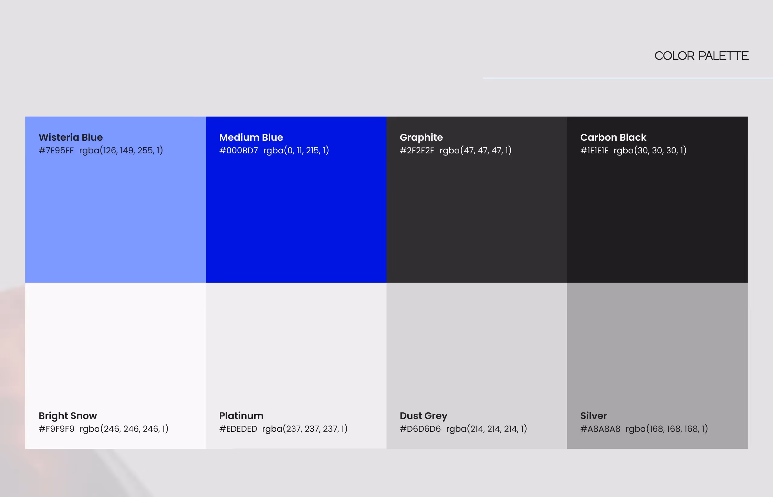 Latchezar Boyadjiev Branding: Color Palette