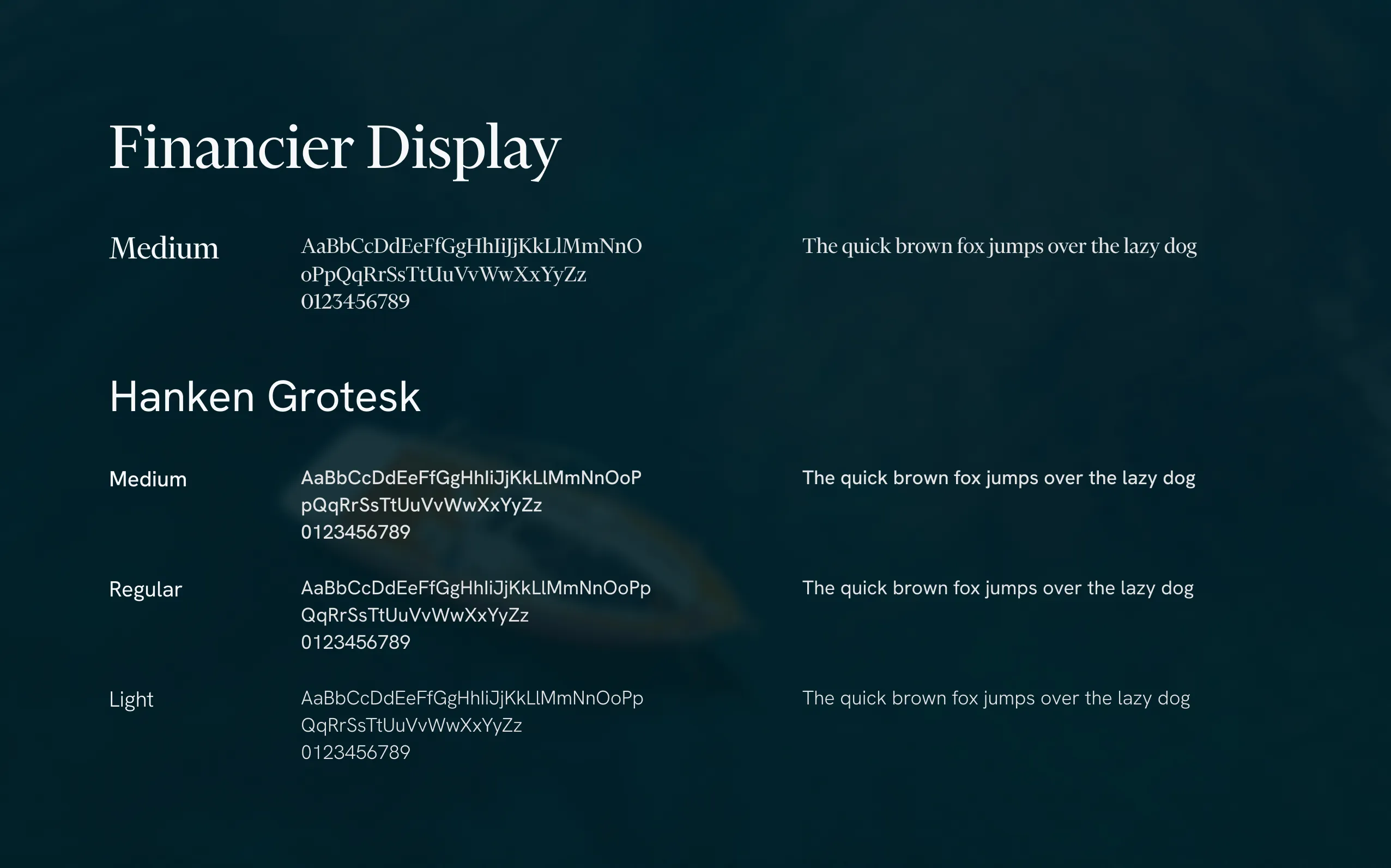 Sea School Branding: Typography