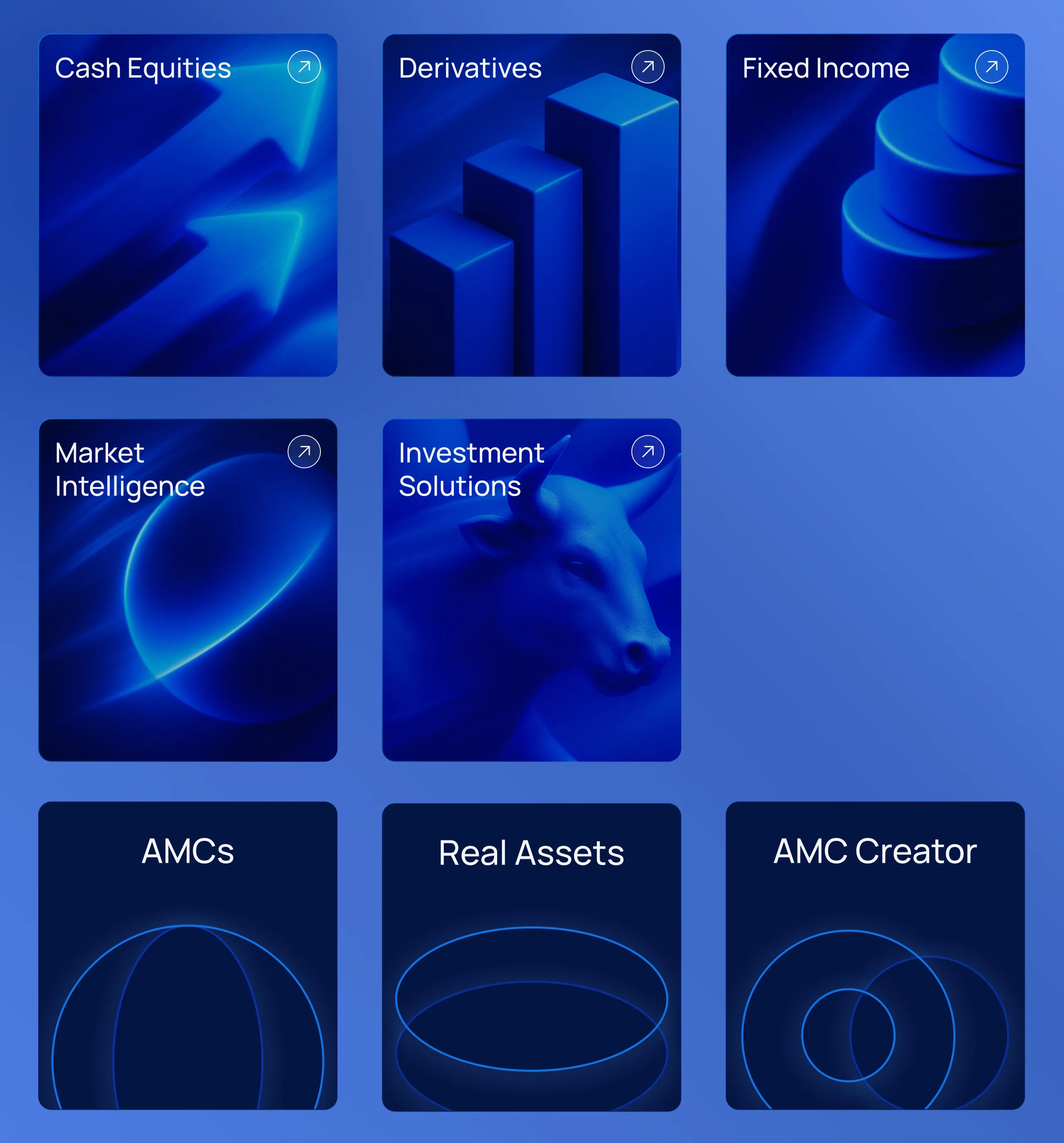 FCS Capital Markets: Custom Assets