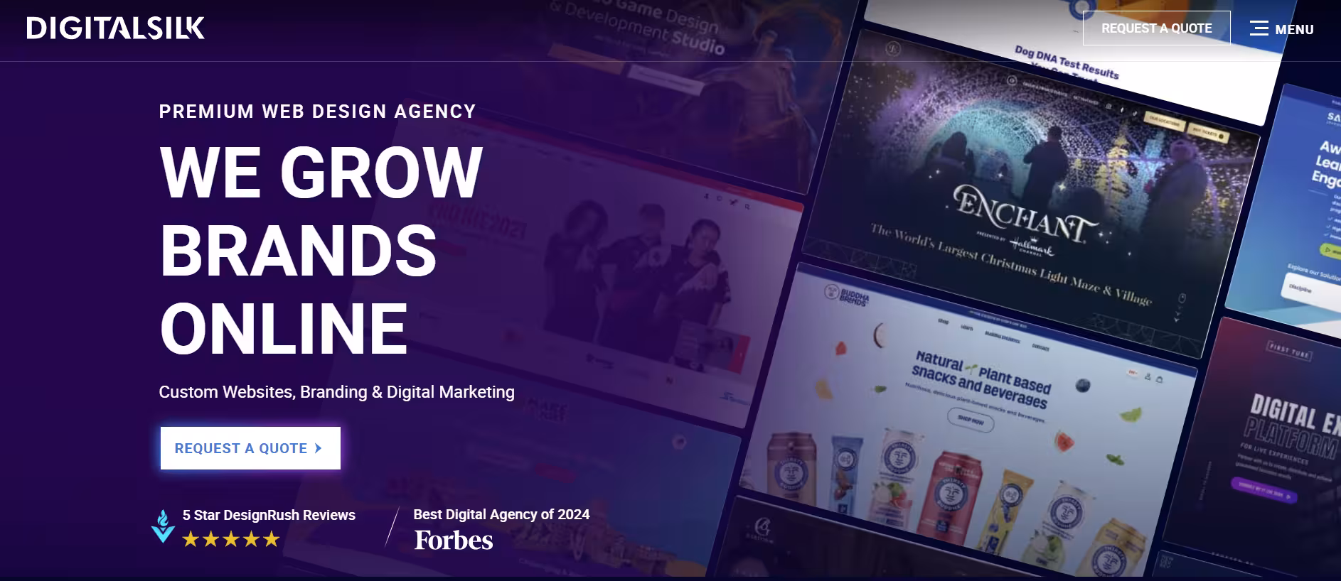 top web design companies, Digital Silk