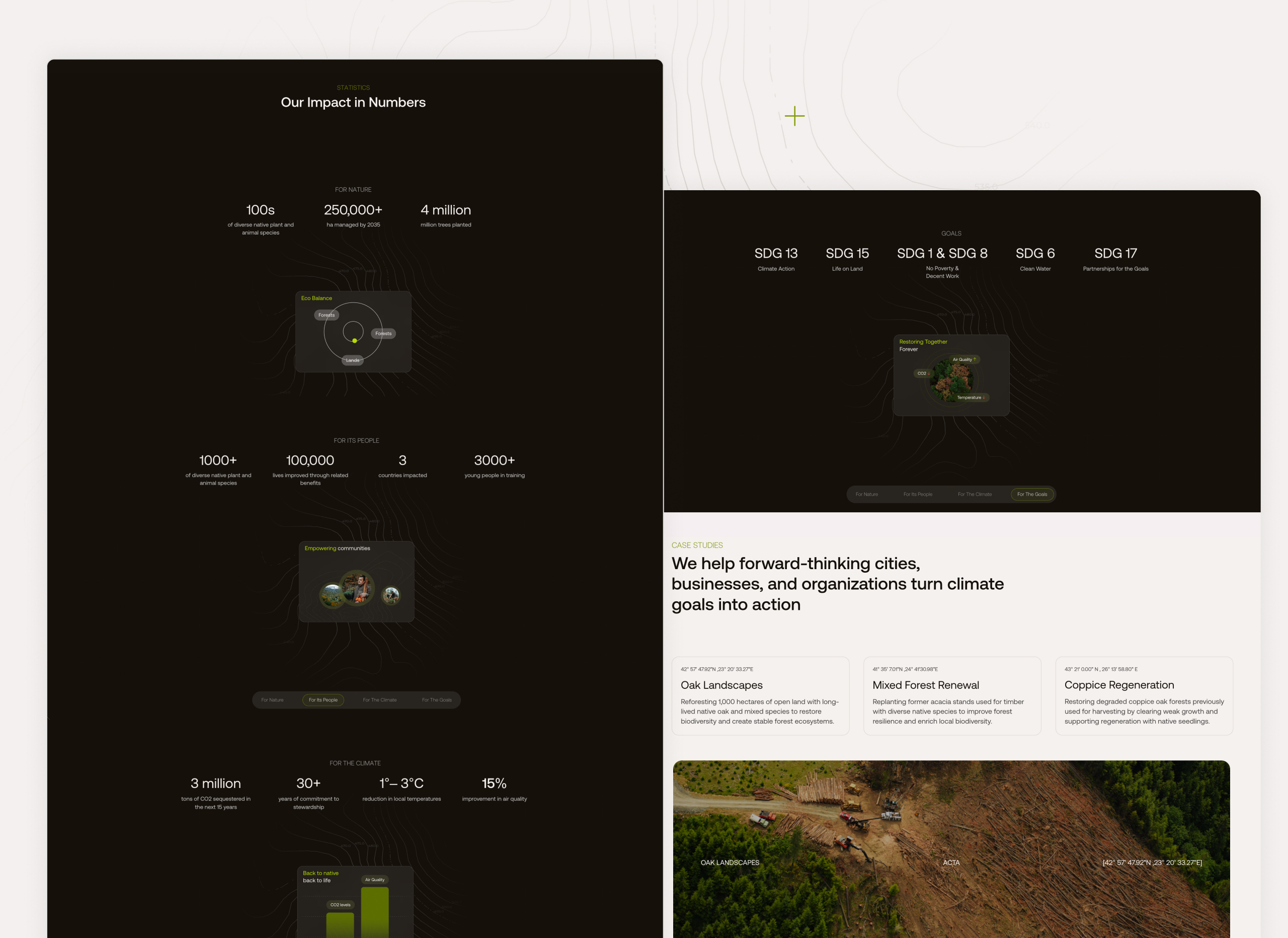 Acta website section showcasing their impact in numbers, with statistics highlighting their environmental and social contributions. The section includes figures like 250,000+ plant and animal species supported, 4 million trees planted, 1000+ diverse specie