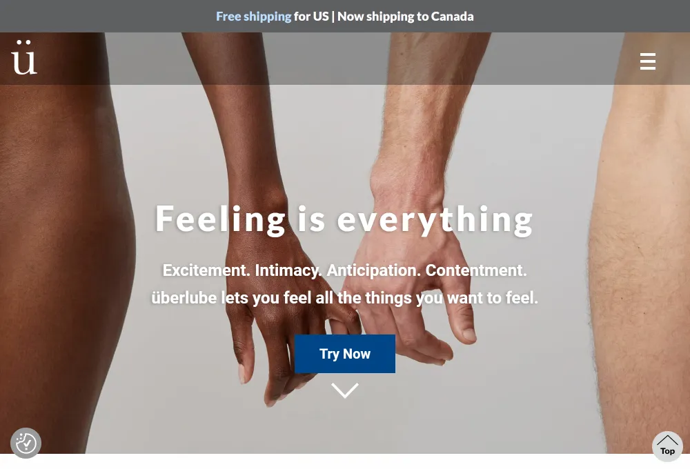 Image of the Website Before Redesign