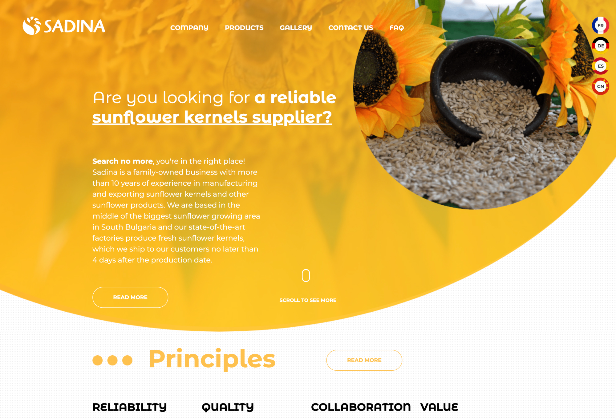 Image of the Website Before Redesign