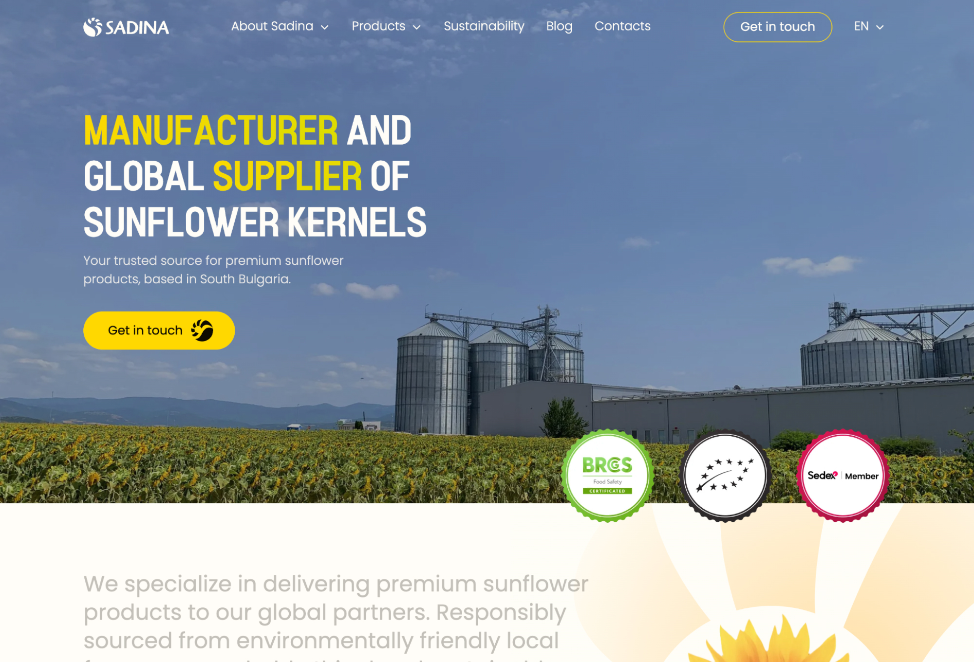 Image of the Website After Redesign