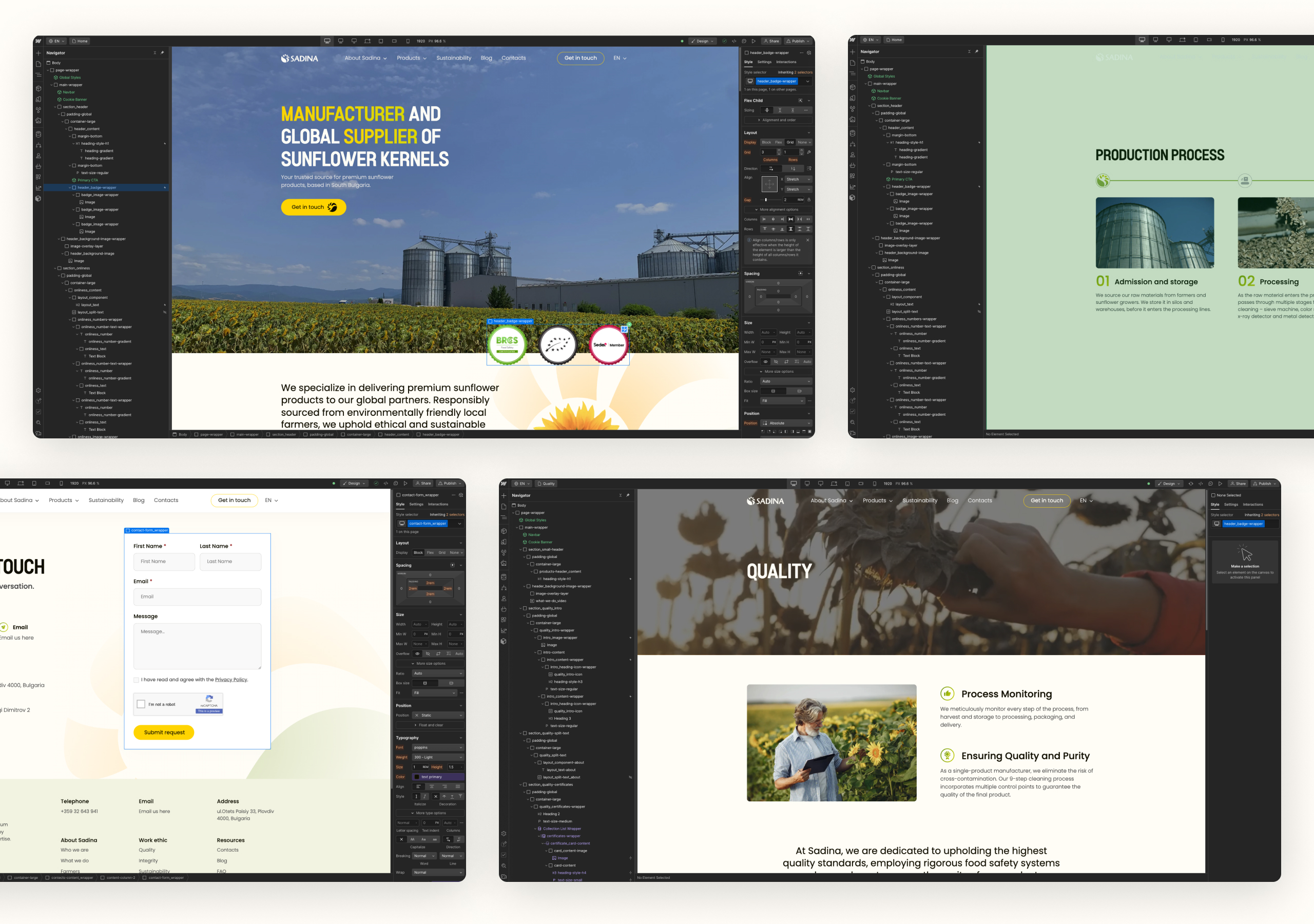 Four Webflow Designer windows building Sadina pages, with the Navigator panel and style settings open