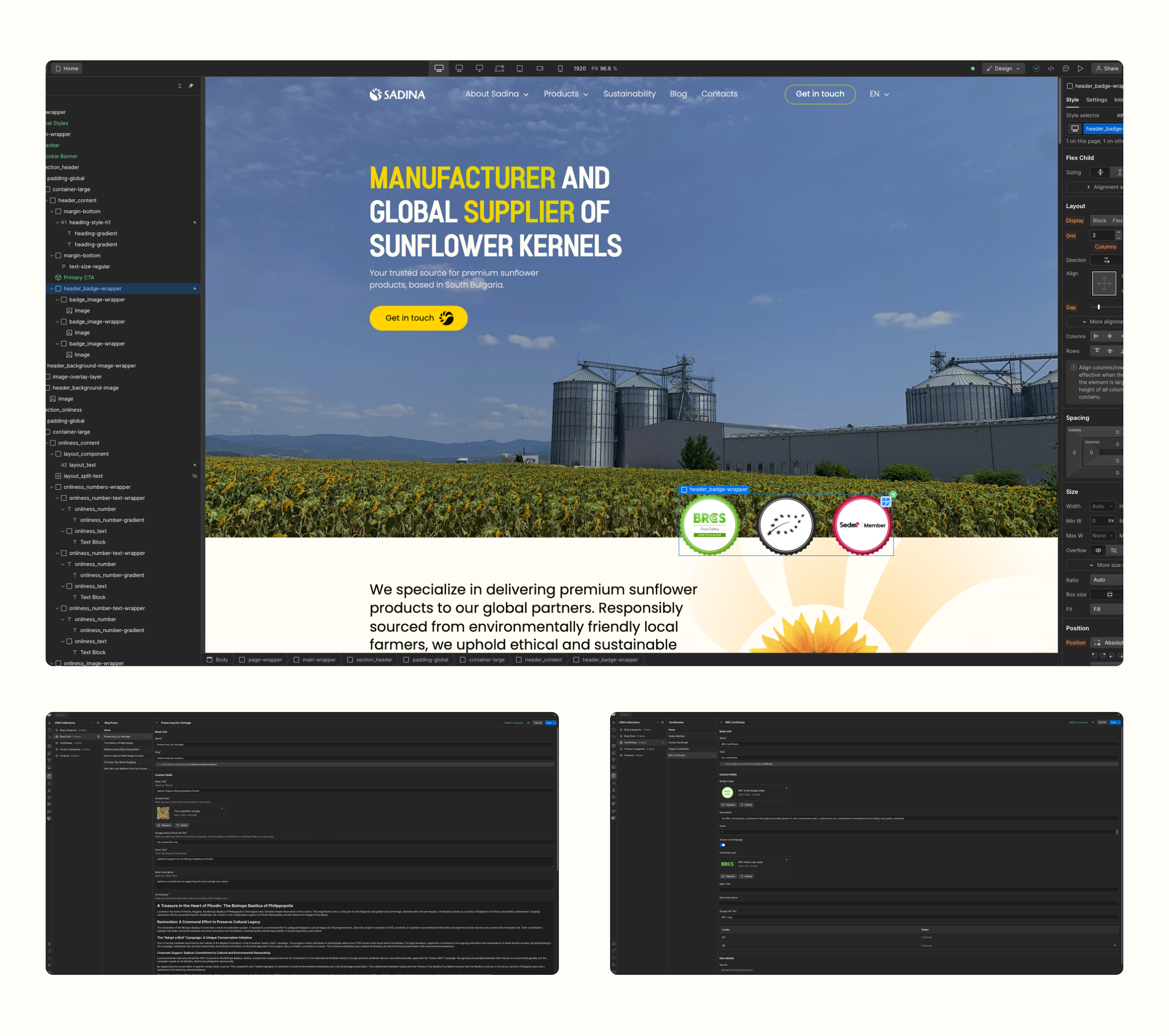 Webflow Designer editing the Sadina homepage hero badges, above two CMS collection item editor screens