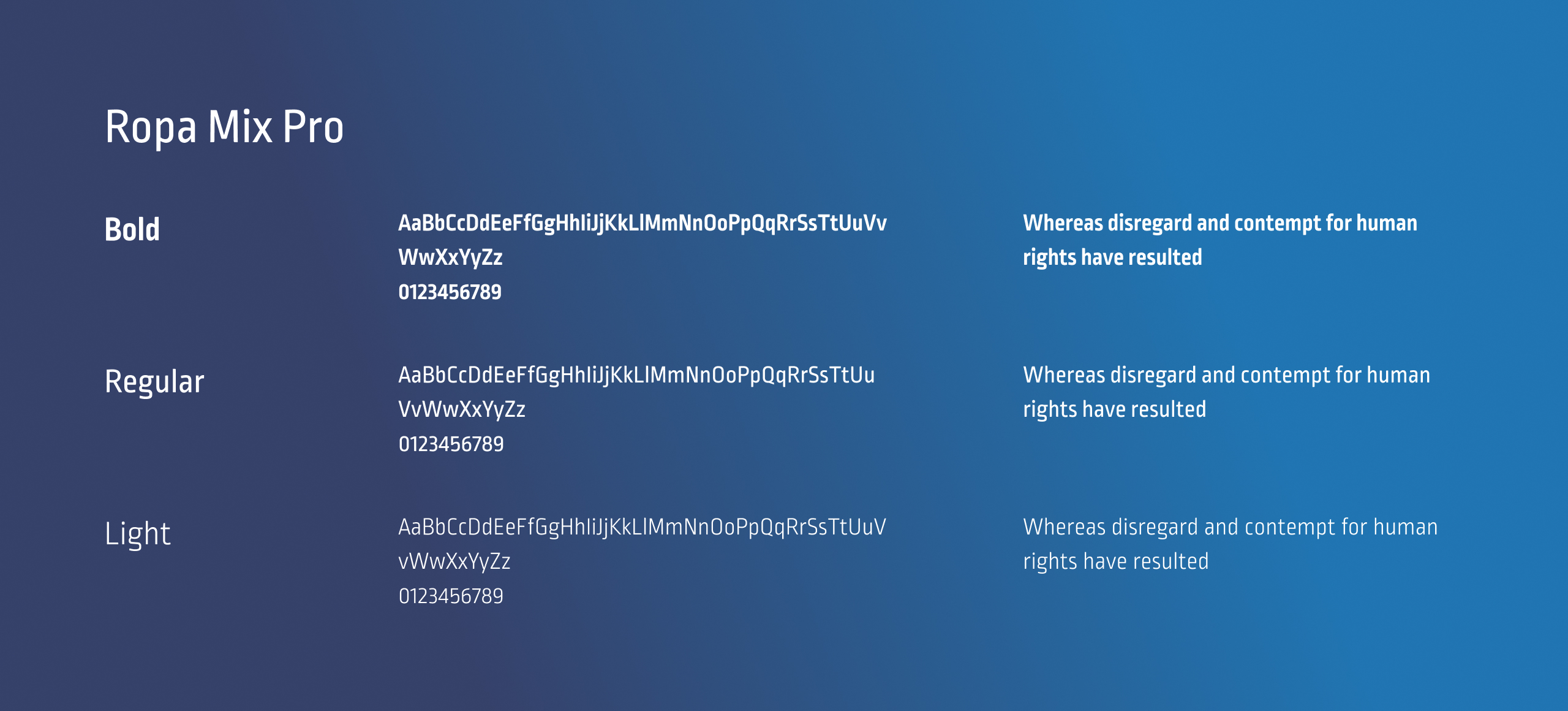 CreditMall typography sheet showing the Ropa Mix Pro typeface in bold, regular and light with sample paragraphs