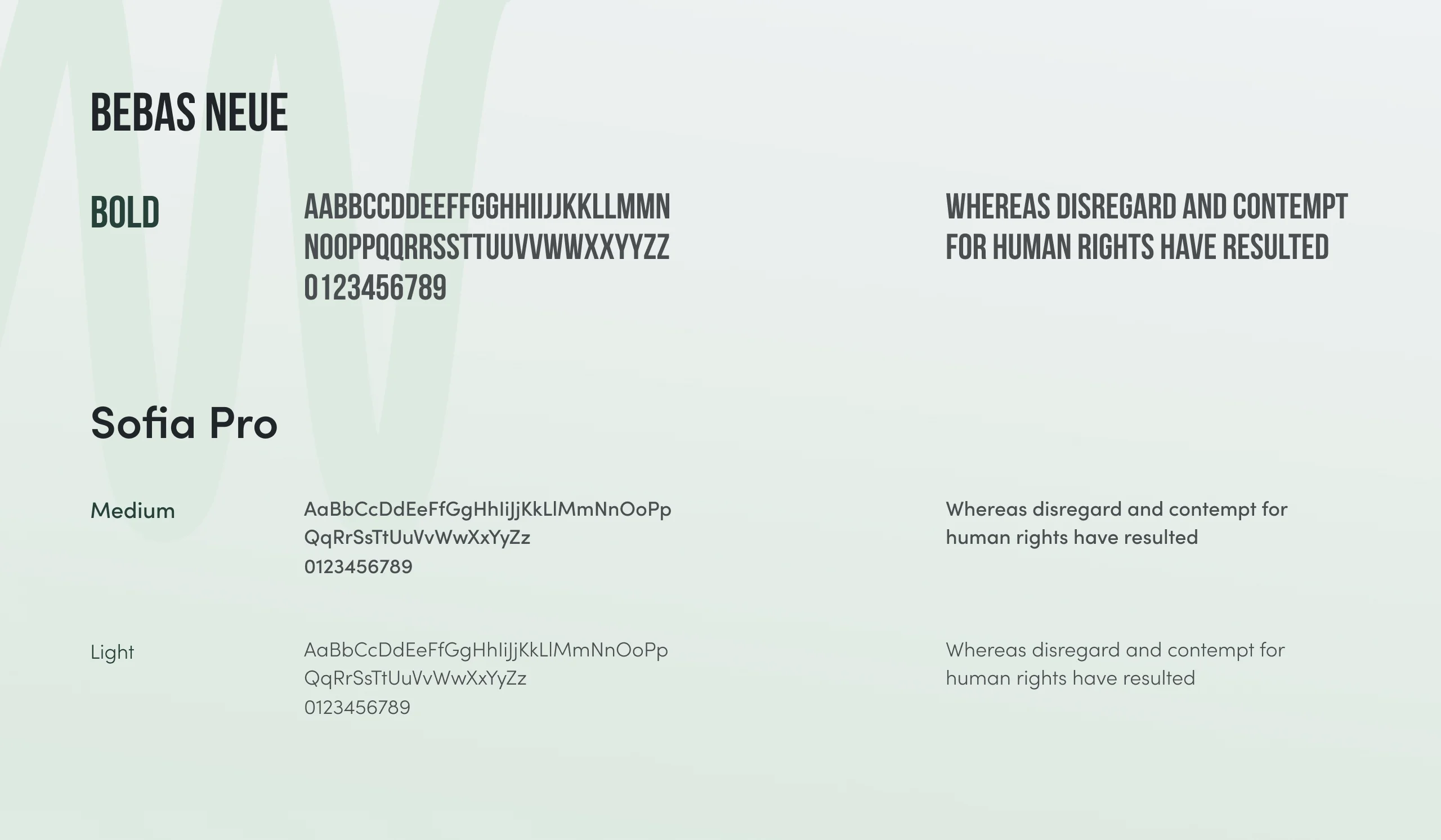 Fit Panther typography sheet pairing Bebas Neue bold with Sofia Pro medium and light over a soft green backdrop