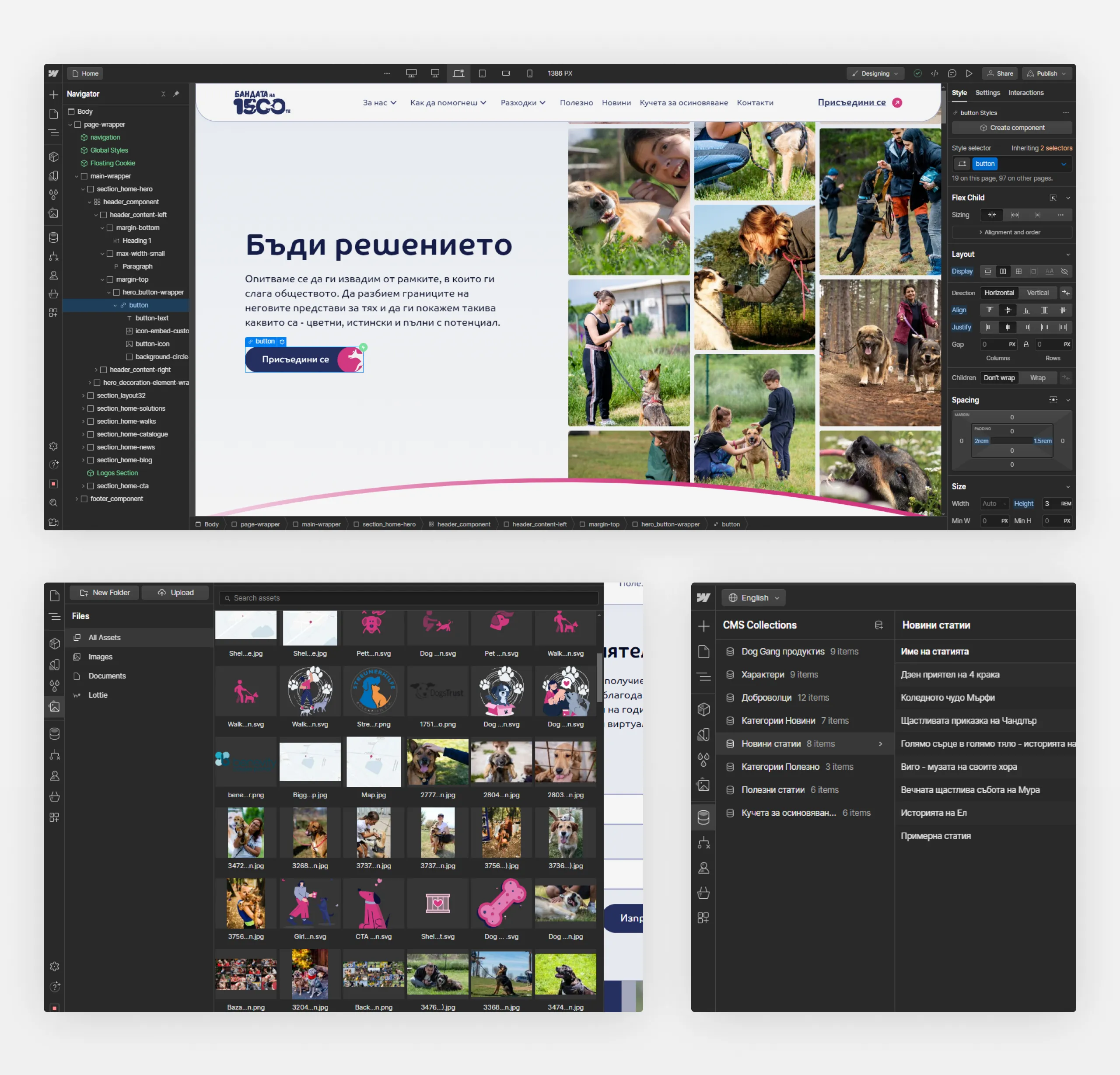 1500 Dog Gang site in the Webflow Designer with the Navigator panel, plus the asset manager and CMS collections