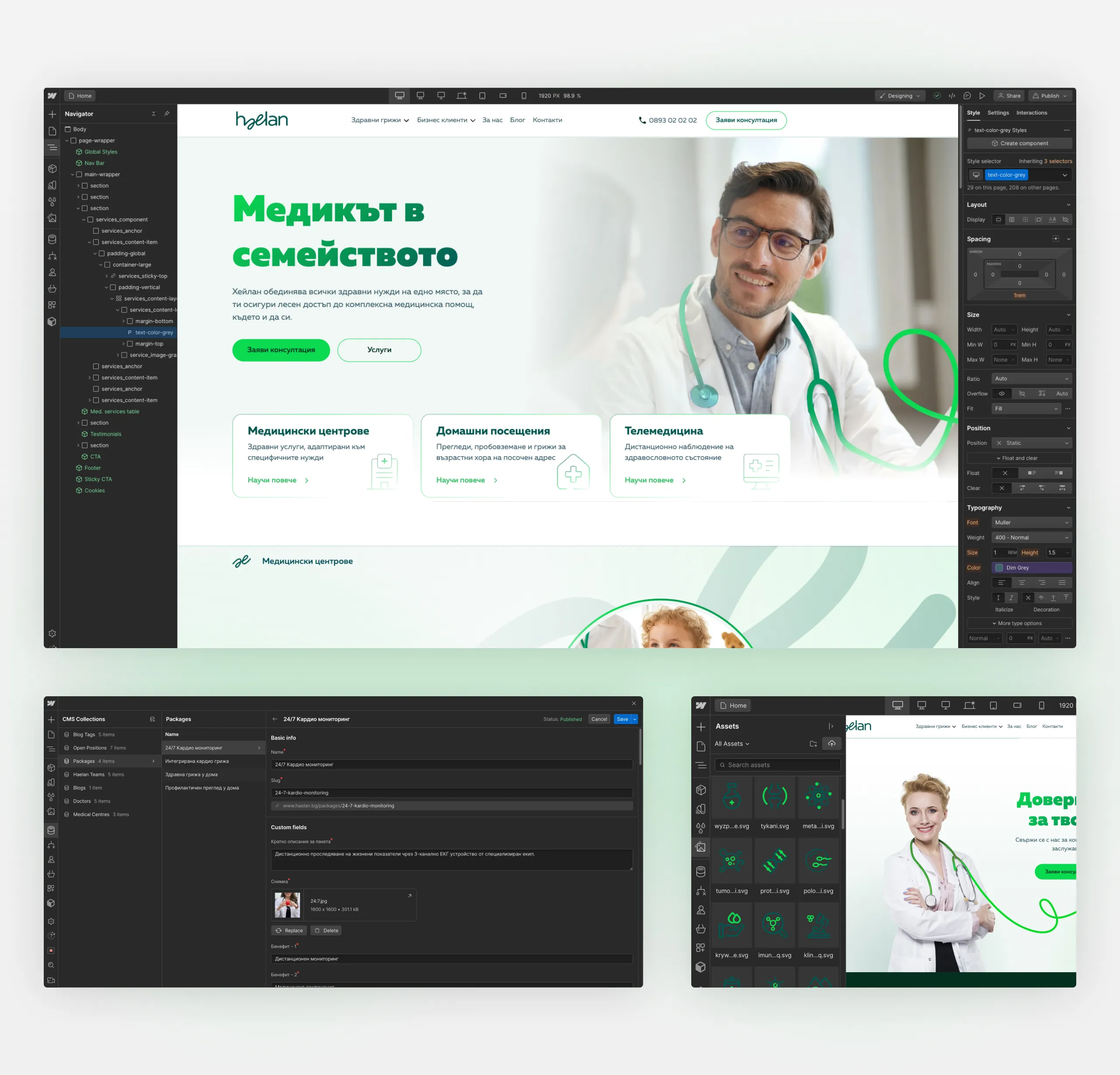 Haelan homepage open in the Webflow Designer with the Navigator panel, plus CMS collection and asset panels