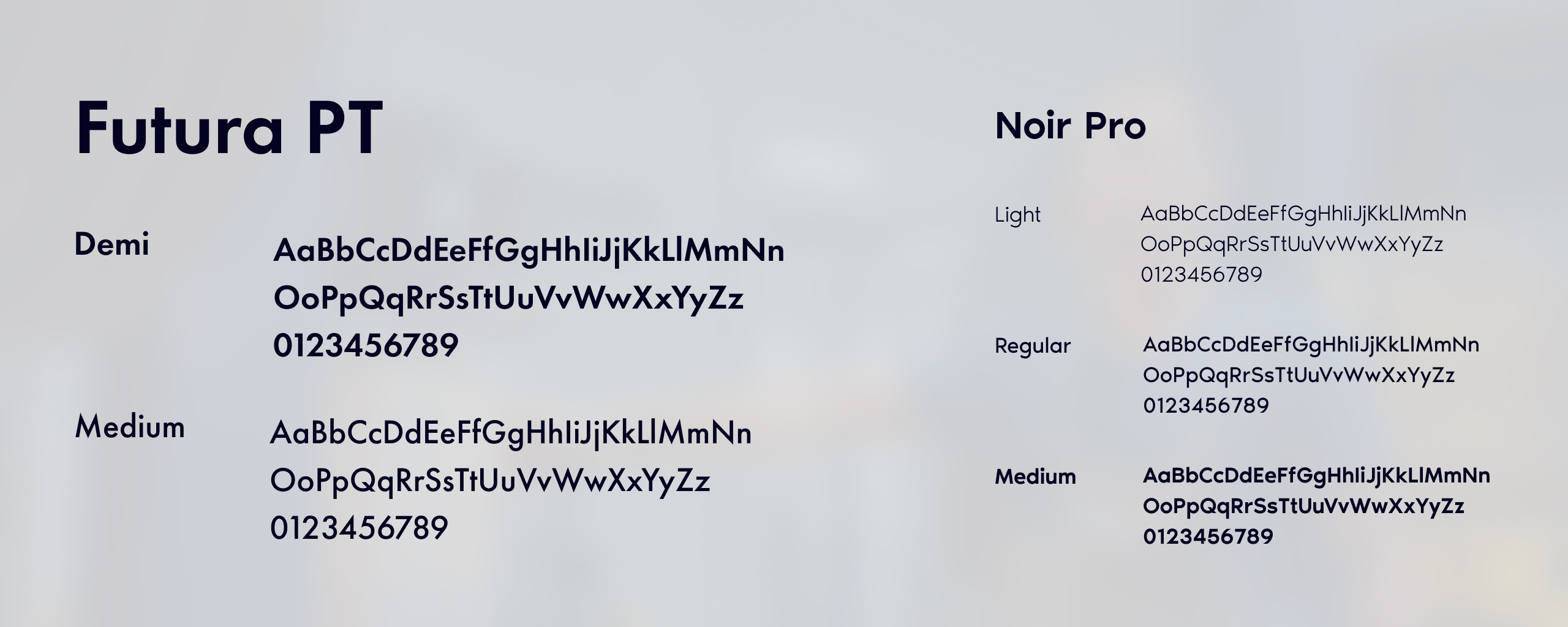 Technotest typography sheet pairing Futura PT in Demi and Medium with Noir Pro in Light, Regular and Medium