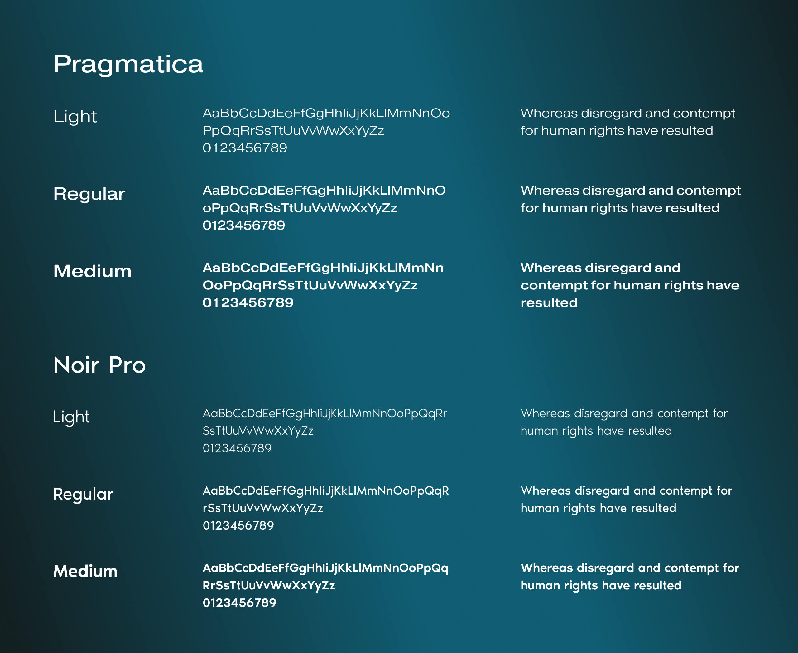 FujiPoly typography sheet pairing Pragmatica and Noir Pro in Light, Regular and Medium on a teal gradient