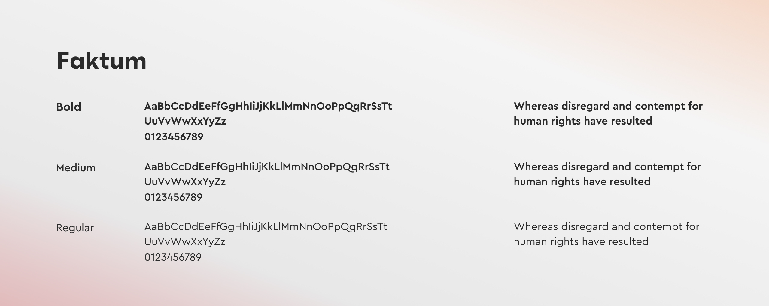 Protagona typography sheet showing the Faktum typeface in Bold, Medium and Regular with sample text